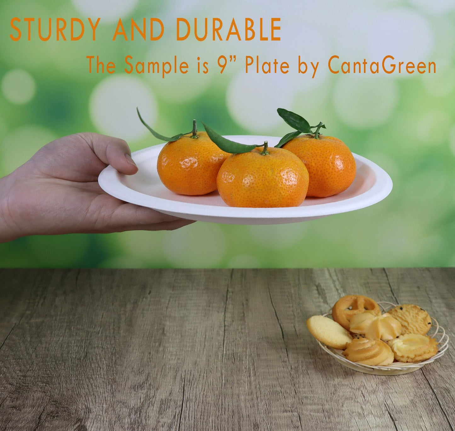 CantaGreen 500 Count 6 Inch Small Heavy Duty Compostable Dessert Plates, Biodegradable Bagasse and Bamboo Fiber Paper Plates