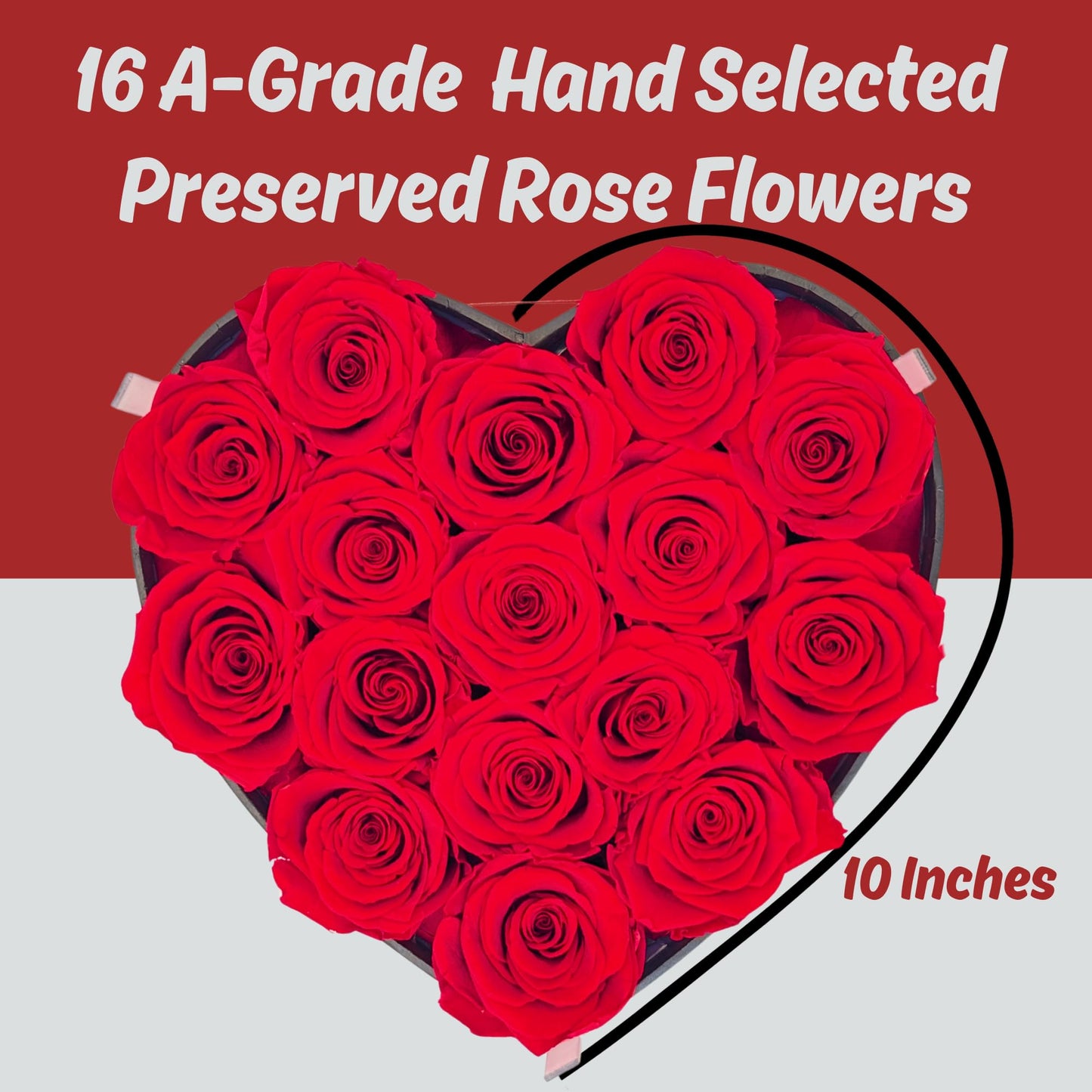 16 Forever Roses in Luxury Heart Box – Real Preserved Flowers Last 3–5 Years | Eternal Rose Gift for Her, Mom, Wife | Birthday, Anniversary, Valentine's Day, Mother's Day | Flowers for Delivery Prime