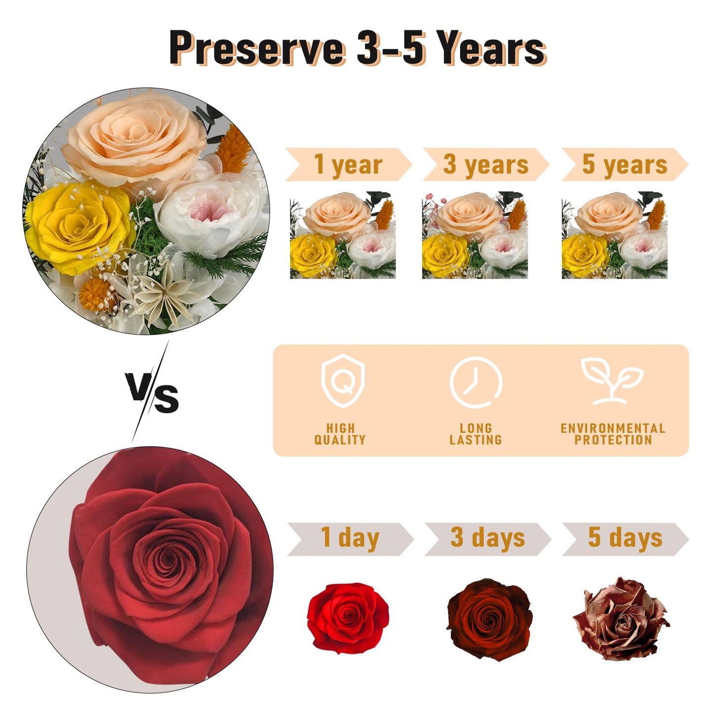 FIACO Gifts for Mom Flowers for Delivery Birthday Gifts for Women Grandma Forever Preserved Eternal Rose in Glass Dome Mother Days Valentines Anniversary for Girlfriend Wife Her, Champagne