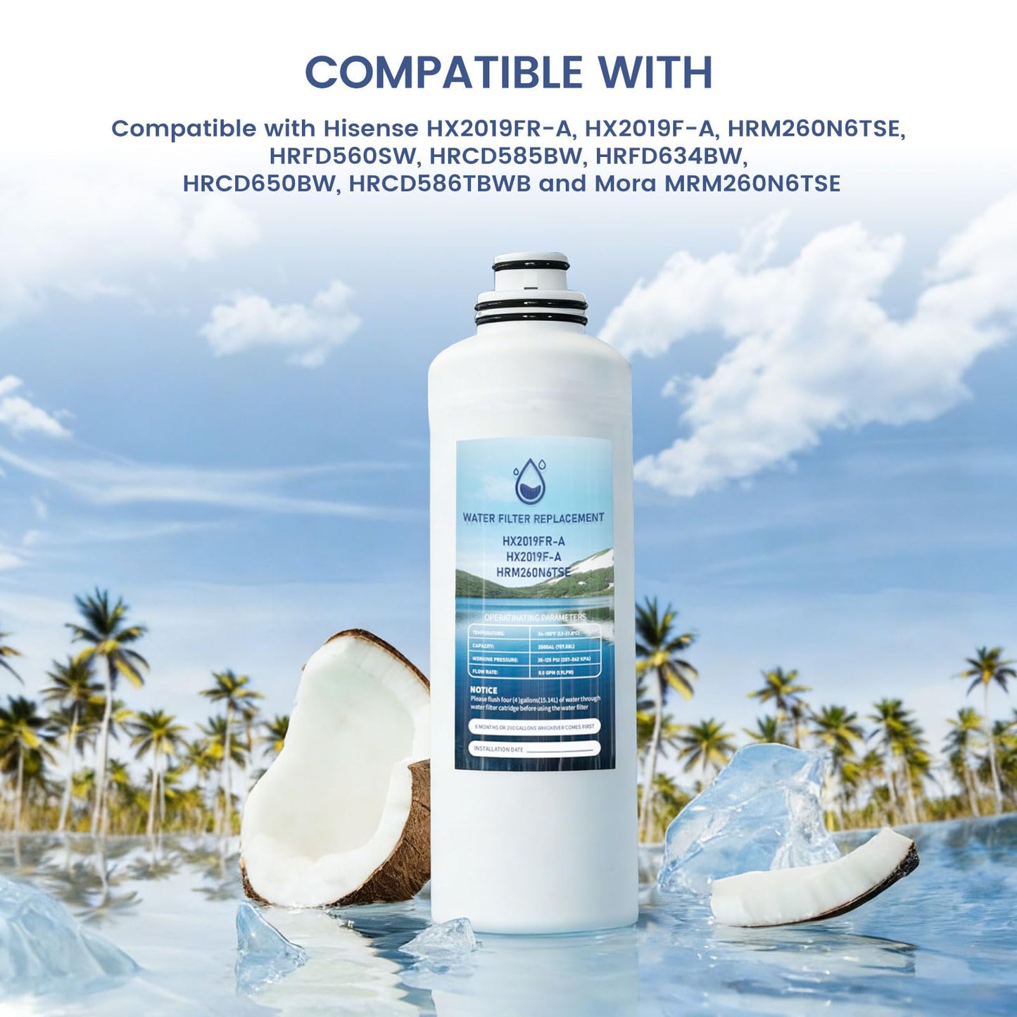 HX2019FR-A Water Filter Replacement, Compatible with Hisense HX2019FR-A, HX2019F-A, HRM260N6TSE, HRFD560SW, HRCD585BW, HRFD634BW, HRCD650BW, HRCD586TBWB and Mora MRM260N6TSE Pack of 2