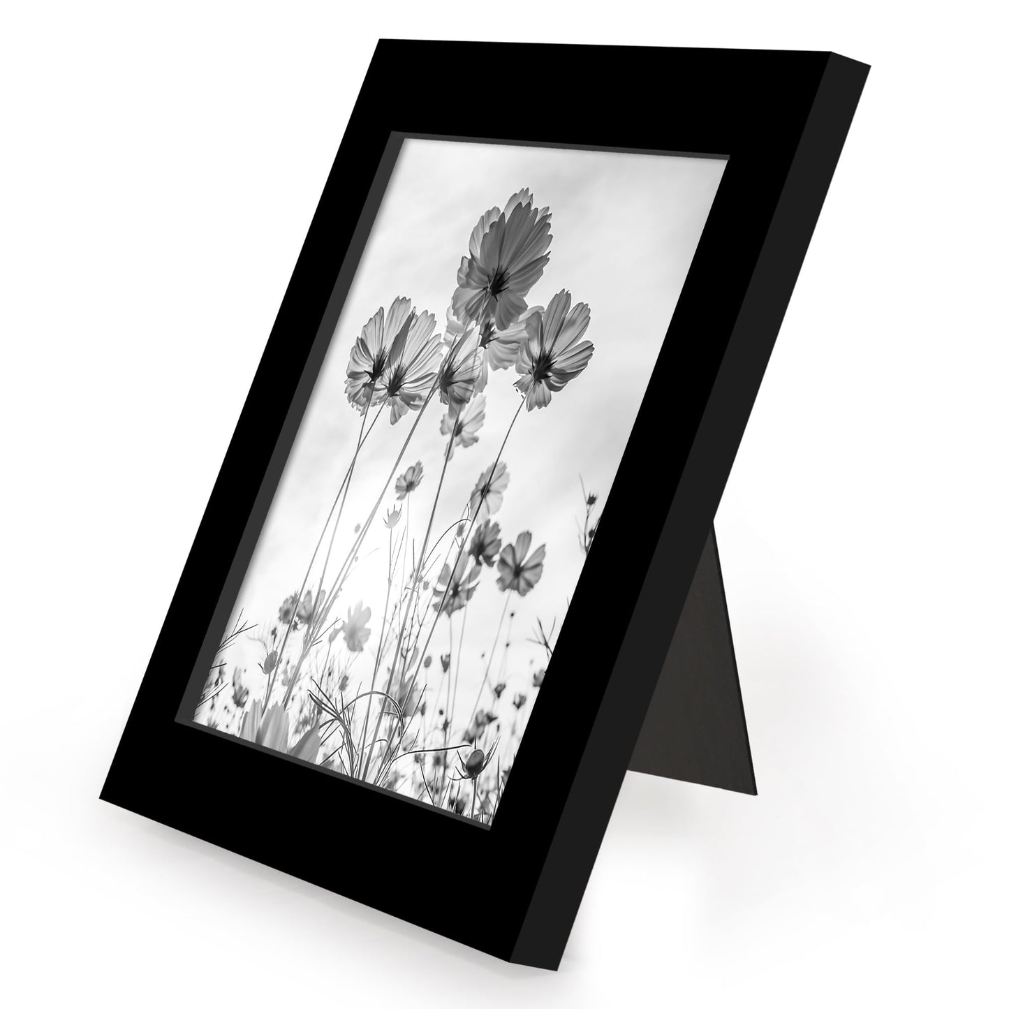 Americanflat 5x5 Picture Frame with Polished Plexiglass - Set of 12 - Signature Collection - Picture Frames with Engineered Wood - Square Frame for Tabletop and Wall Display - Black