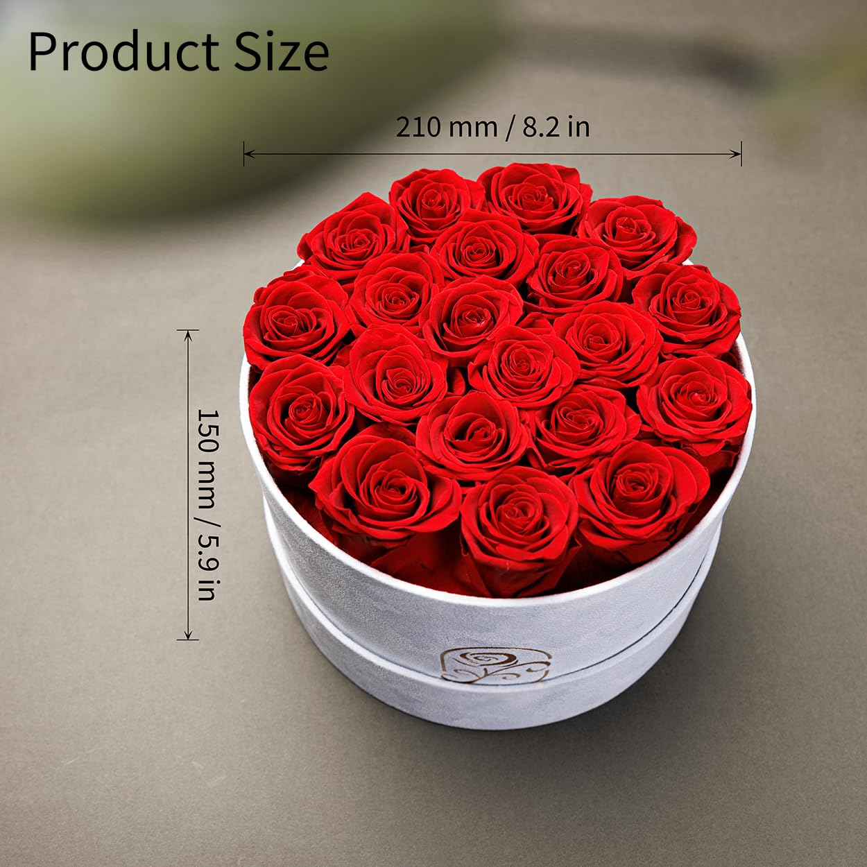 Gifts for Women Preserved Roses Flower Box, Luxury Velvet Box with 20 Roses, Preserved Flowers, Romantic Gift for Her, Wife, Girlfriend, Birthday Anniversary Christmas (Red)