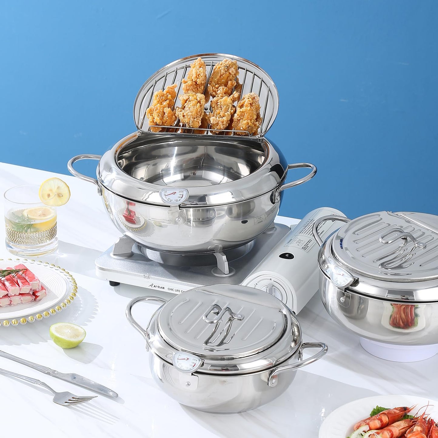Deep Fryer Pot 11 Inch Large Stove Top with °F Temperature Control and Oil Drip Drainer Rack for French Fries Chicken Japanese Tempura