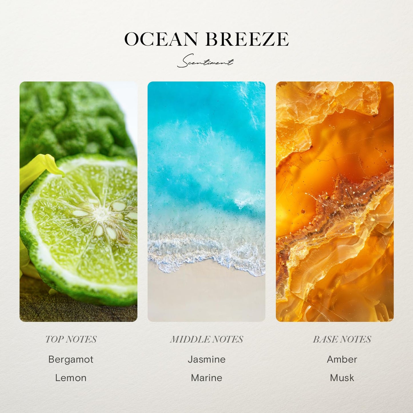 Scentiment Ocean Breeze Diffuser Oil – Bergamot, Lemon, Jasmine with Marine & Amber Scent for Diffusers, Fragrance Oil – 4.06 fl oz (120 mL)