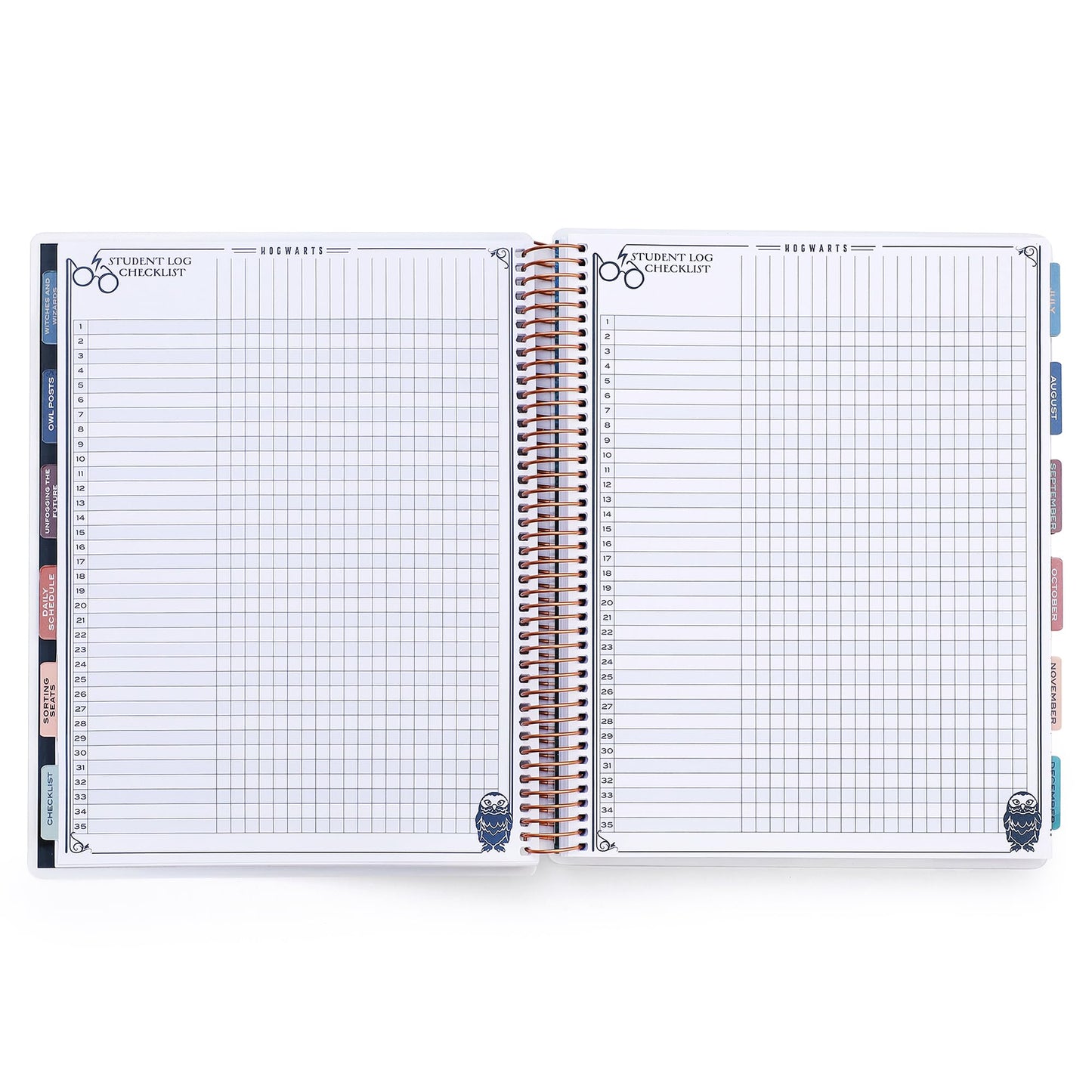 ConQuest Journals 2025-2026 Harry Potter Hogwarts Teacher Planner, July-June Academic Organizer, Monthly & Weekly Calendars, Checklists, Contacts & Student Lists, 11.25'' x 9.5'', Officially Licensed