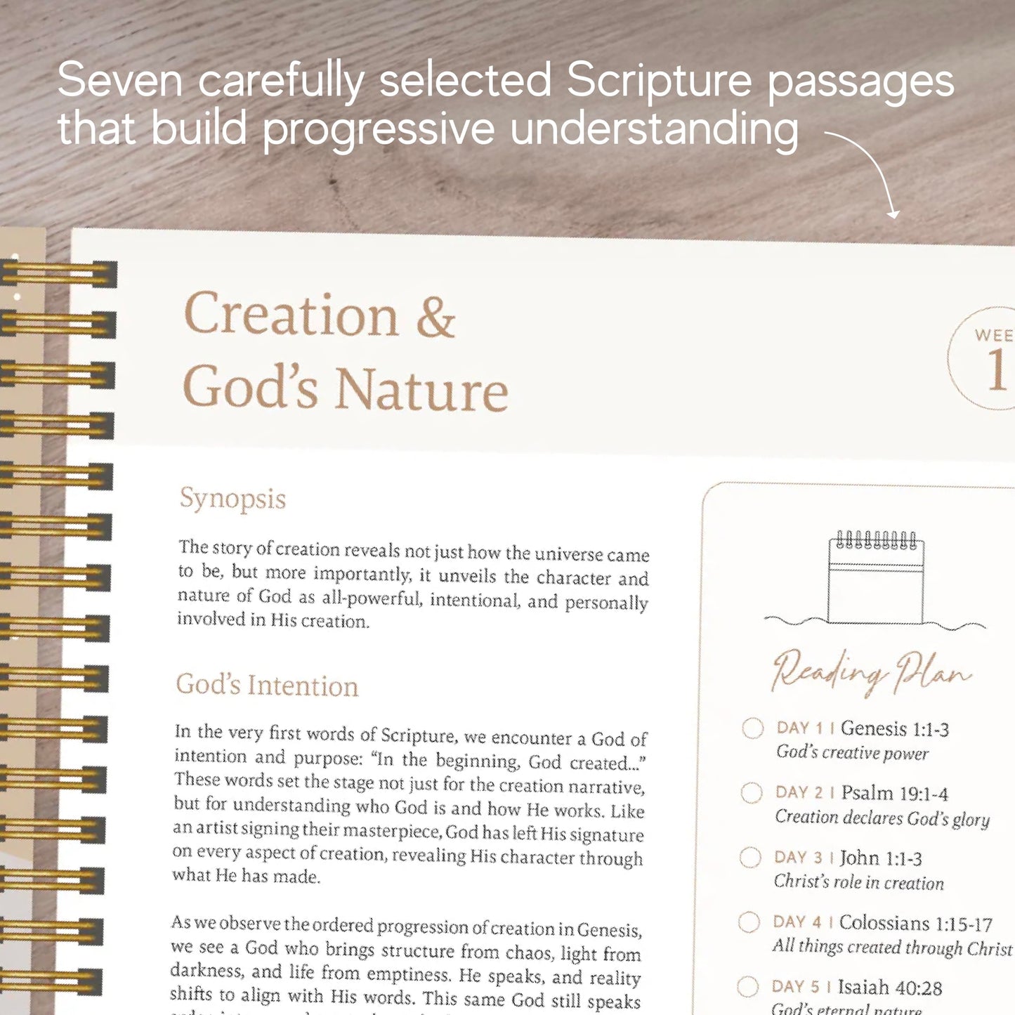 Official Spiral Bible The Bible in a Year | 52 Week Guided Bible Study & Daily Reading Plan | Spiritual Companion & Journal for Adults & Teens | 8.2in x 5.7in Notebook, 3.5in Margins for Notetaking (Mountains)