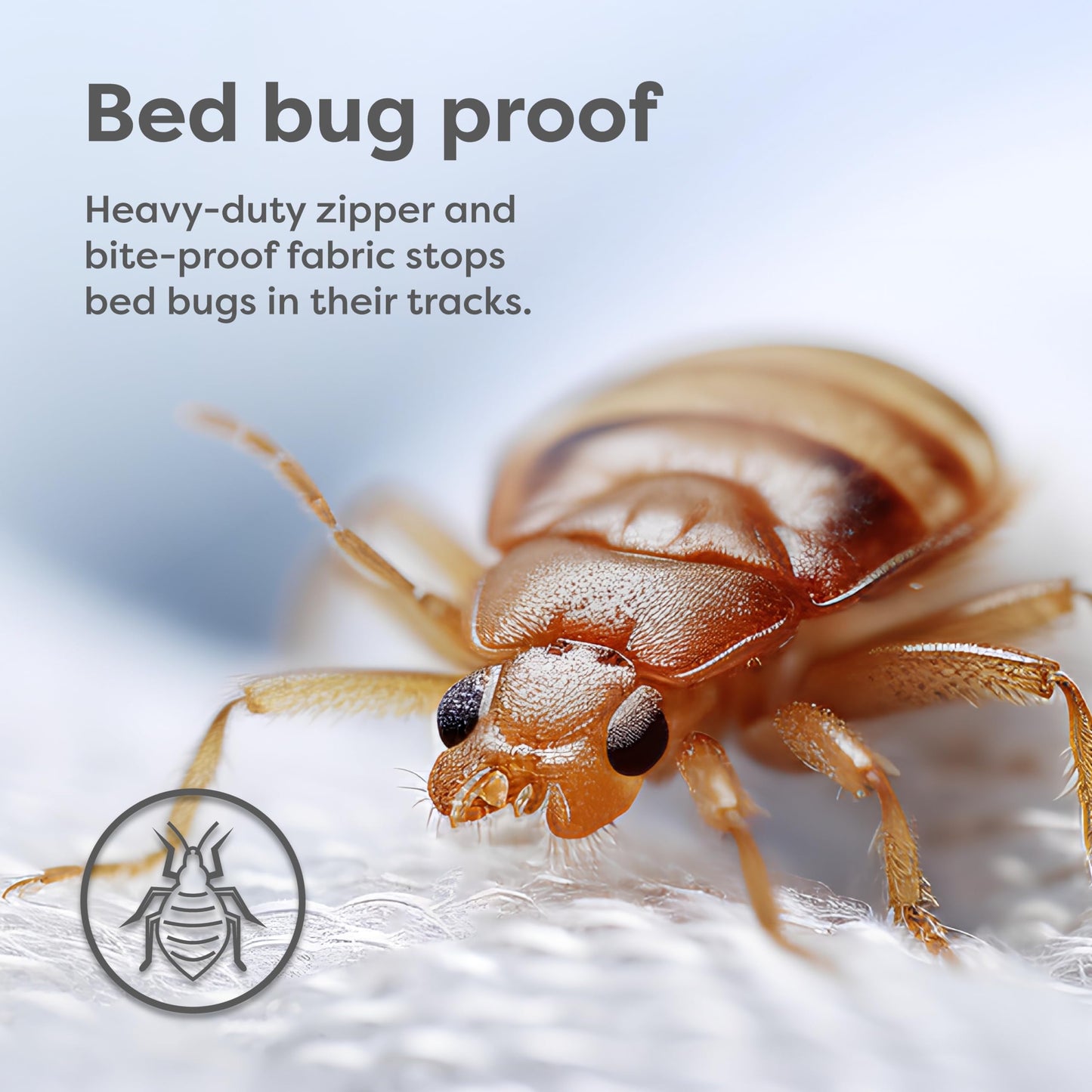 HOSPITOLOGY PRODUCTS Box Spring Encasement - Zippered Bed Bug Dust Mite Proof Hypoallergenic - Sleep Defense System - Split King - 39" W x 80" L - Set of 2 for Split Box Spring ONLY