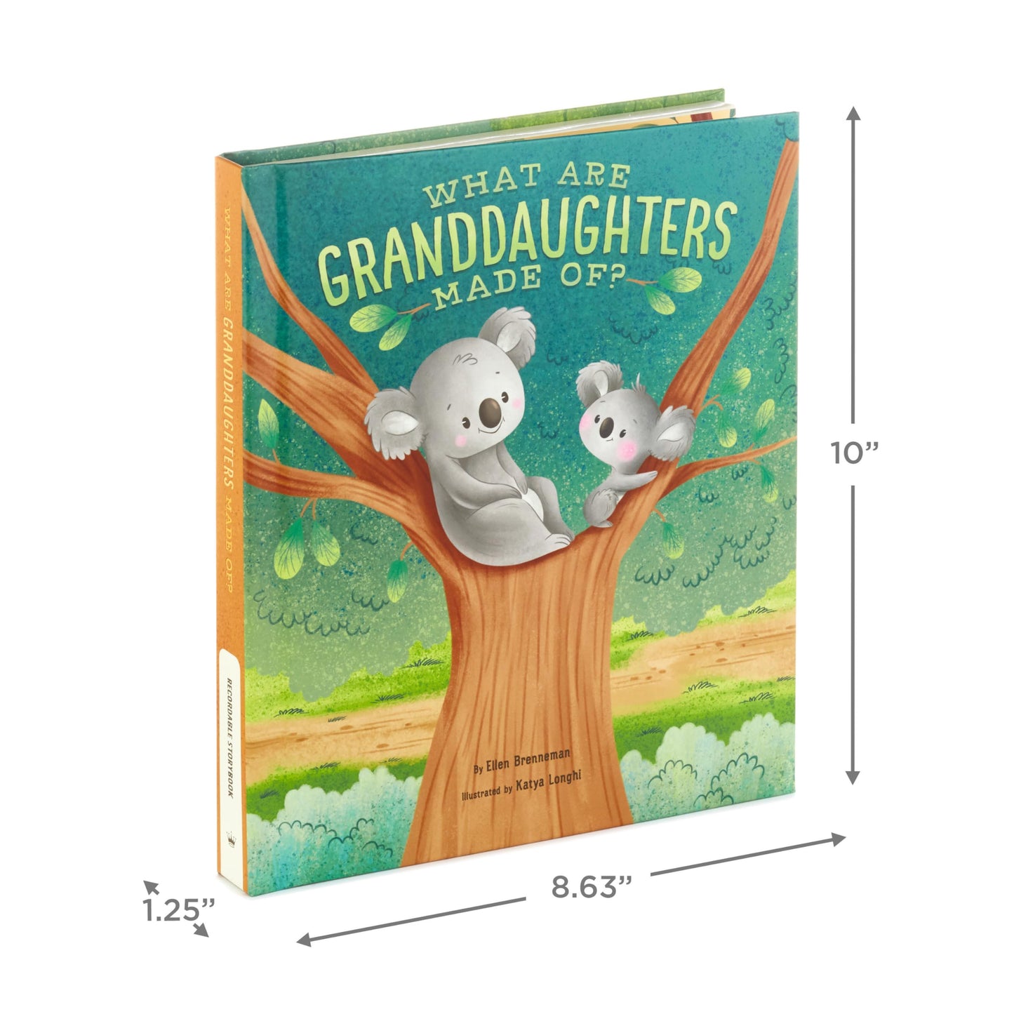 Hallmark Recordable Book for Children (What are Granddaughters Made of?)
