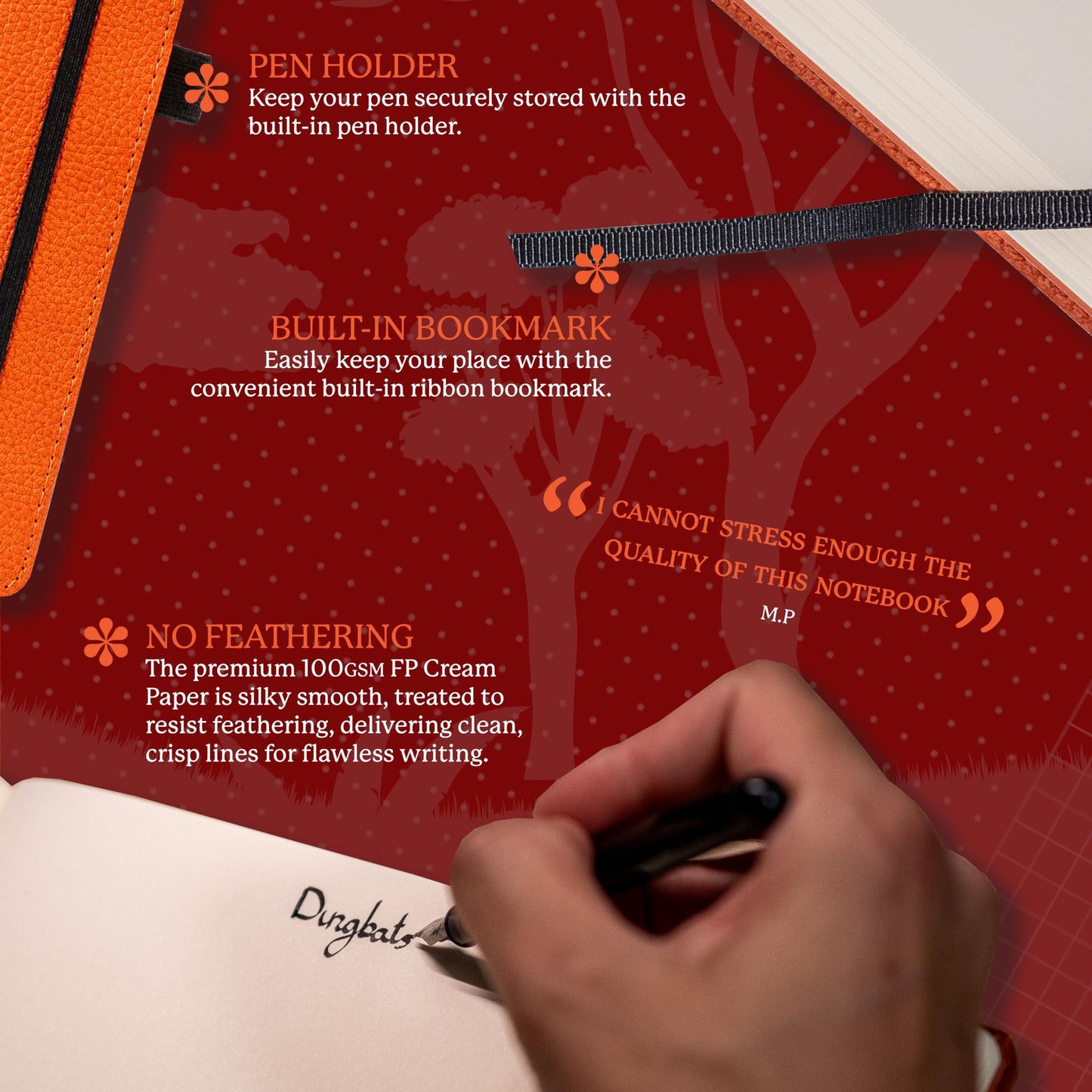 A4+ Orange Tiger Graph (Wildlife)
