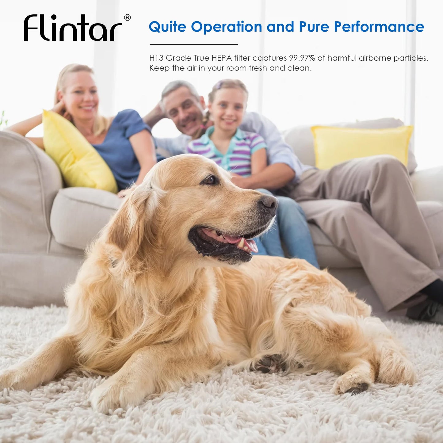 Flintar 115115 Filter A, Made in TAIWAN, Compatible with Winix Air Purifier C535, C909, 5300, 6300, P300, H13 Grade Replacement Filters, 4-Pack