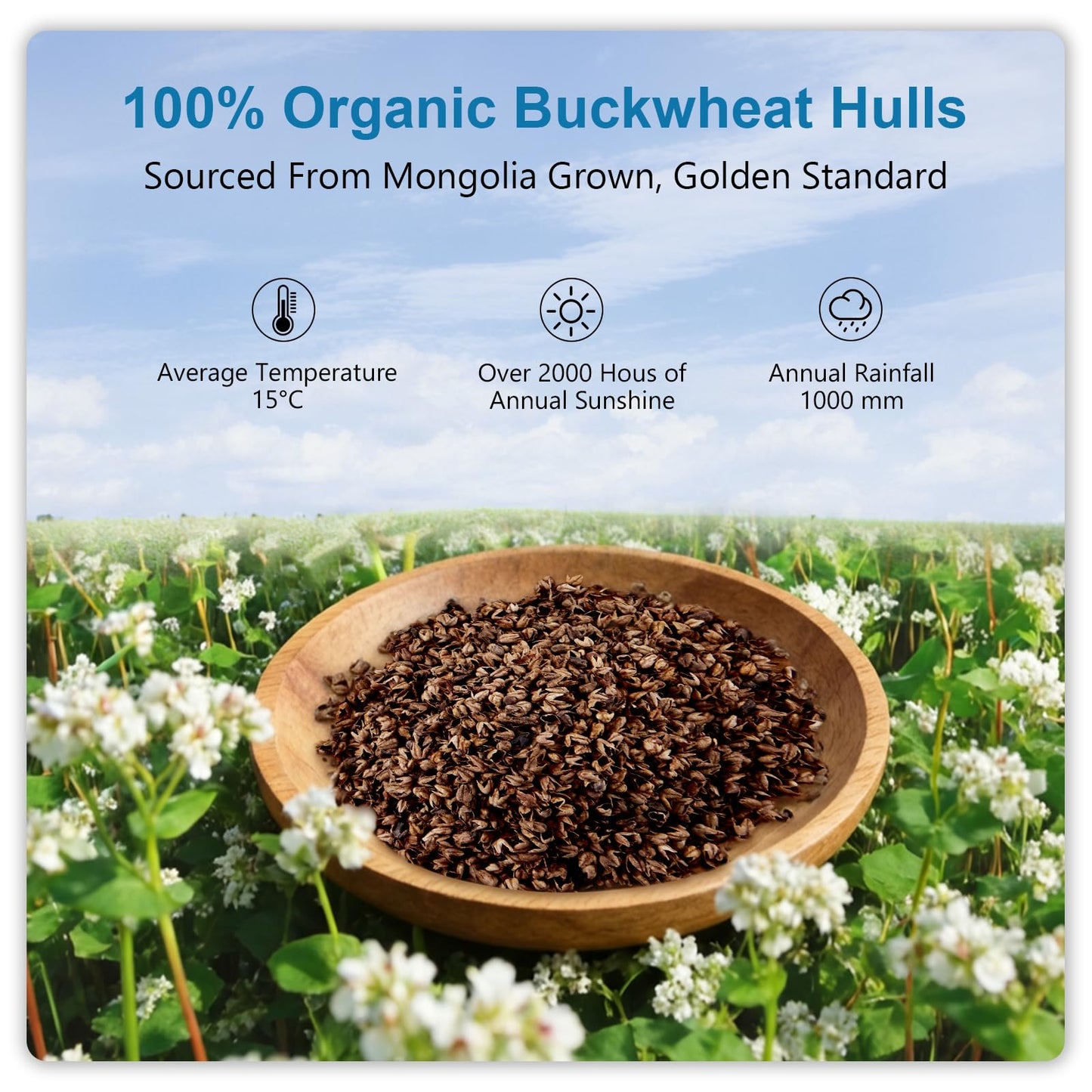 MIOTO Organic Buckwheat Pillow for Sleeping with Dual-Layer Pillowcase and Extra Tartary Buckwheat Hulls, Adjust Height and Firmness, Neck Support Pillow for Back and Side Sleepers 14"x20"