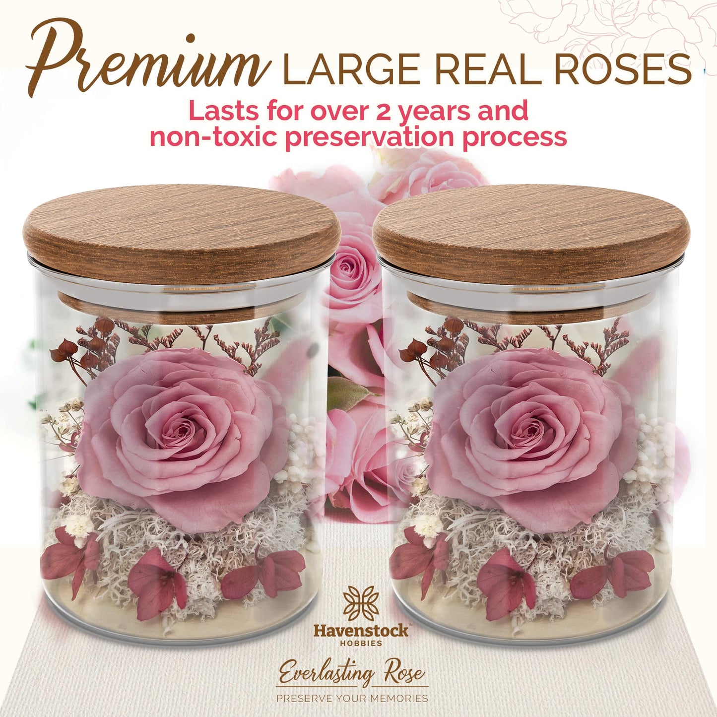 Havenstock Pink Rose in a Glass Dome - Premium Real Rose That Lasts a Year or More - Mother's Day Unique Gift for Her - Preserved Rose Decor
