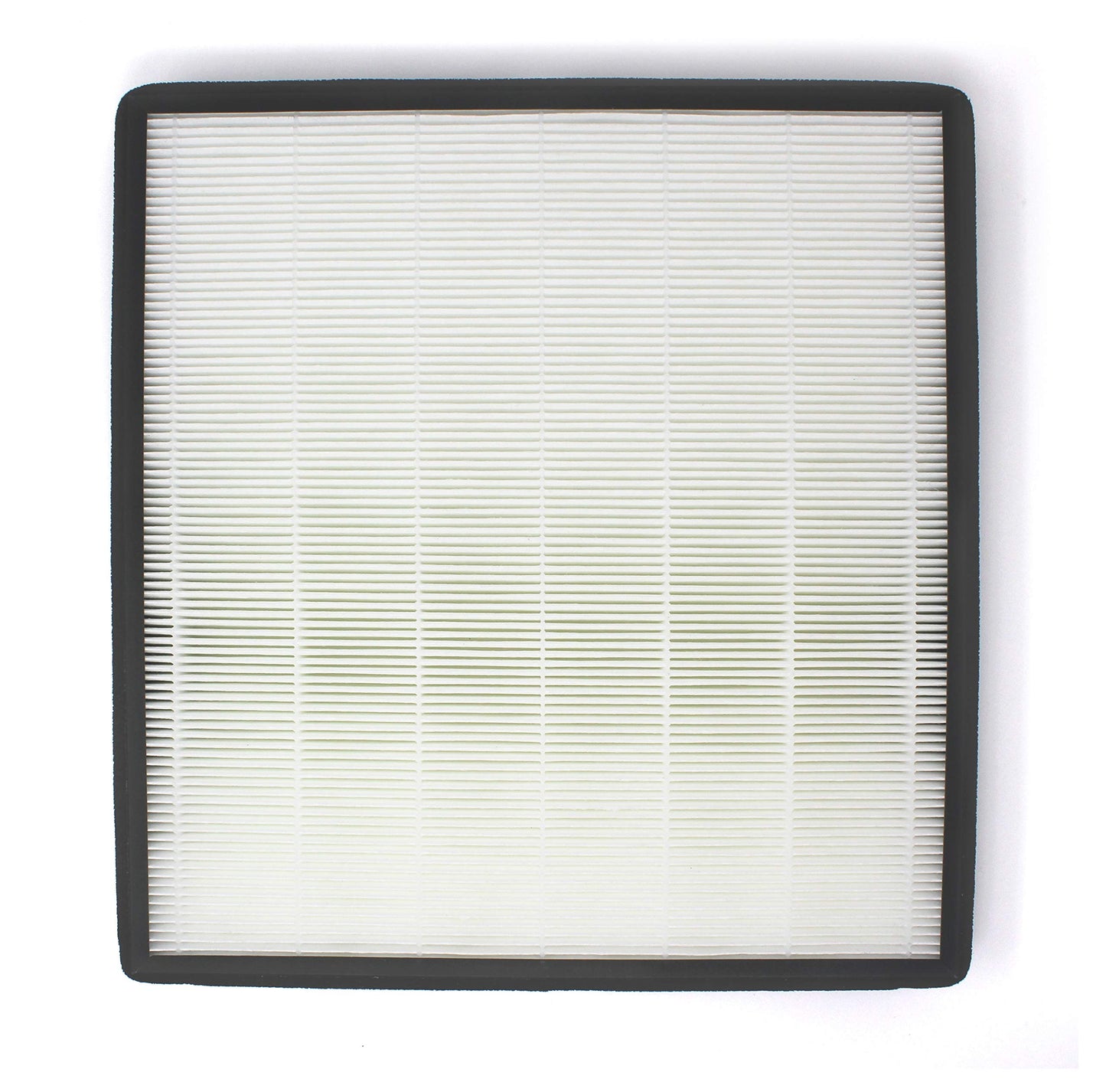 Fette Filter - Air Purifier True HEPA Filter F Compatible with Holmes HAP769. Compare to Part # HAPF700 (2 Pack)