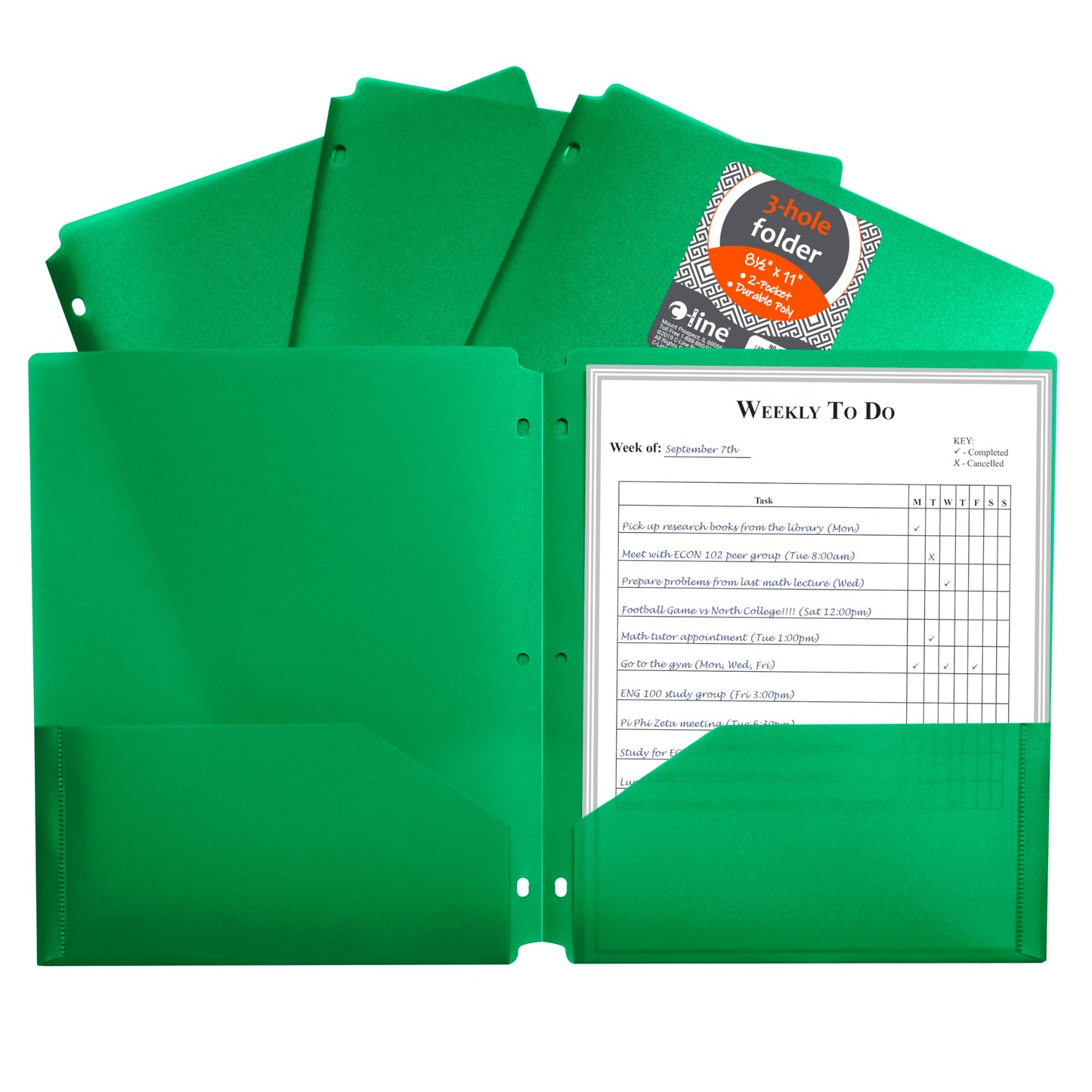 C-Line Two-Pocket Heavyweight Poly Portfolio Folder with Three-Hole Punch, Box of 25, Green (33933-25)