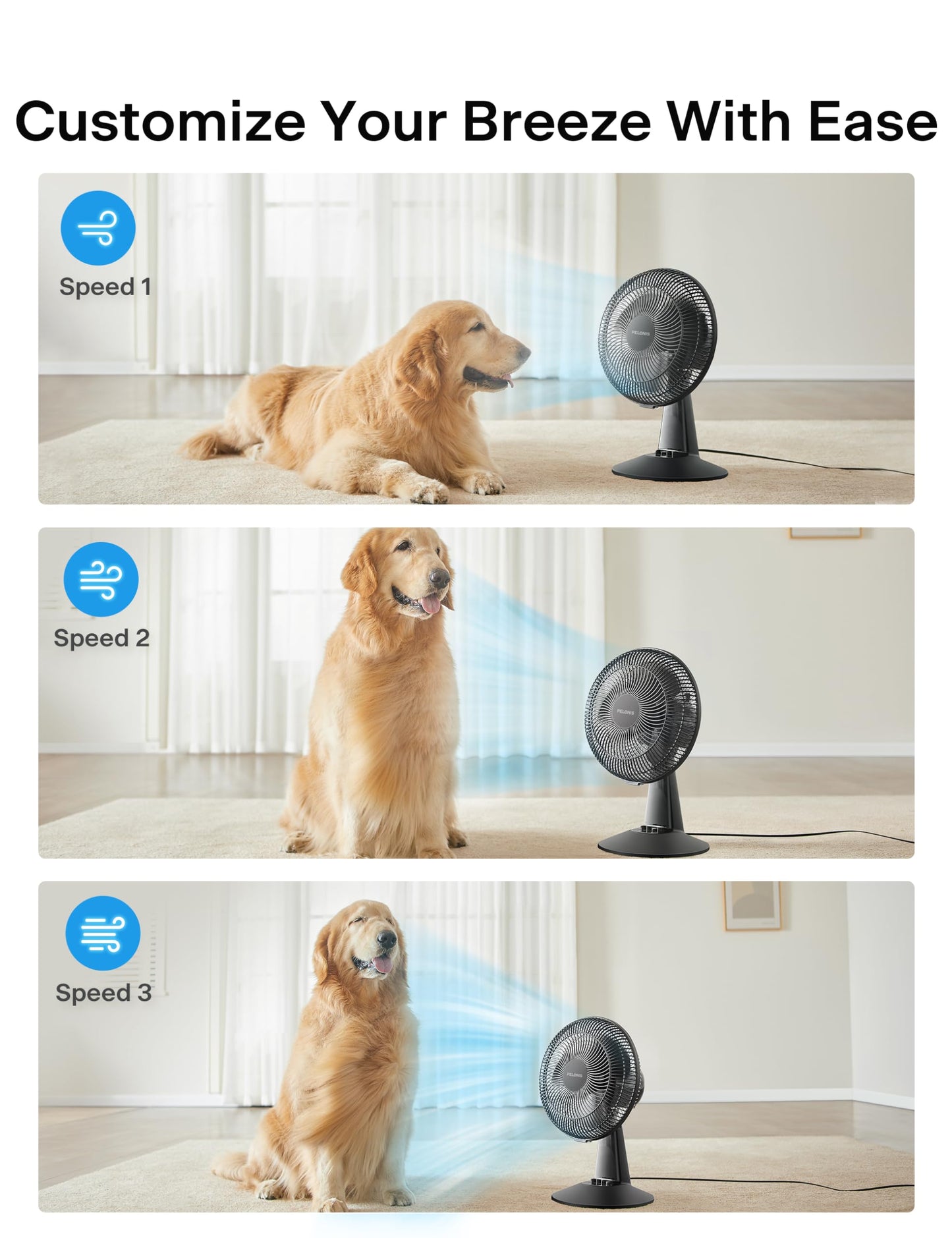 PELONIS Table Fan 12-Inch, 120° Oscillating Table Fan Small Portable Electric Plug-In Desk Fan with 3-Speeds, 126° Adjustable Tilt Head for Bedroom and Office Black