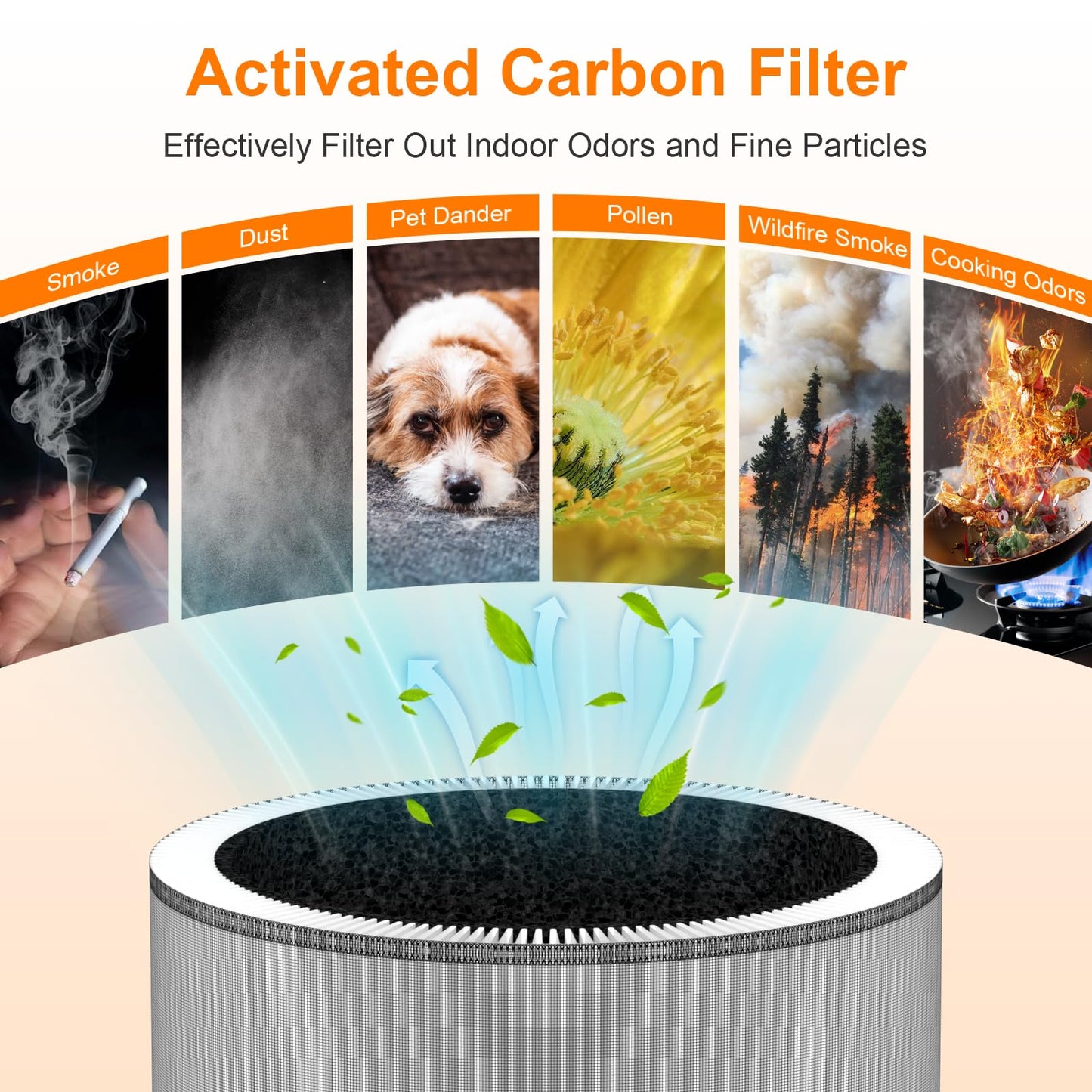 Borgodf 2 Pack C610 Replacement Filter Z Compatible with Winix C610 Air Purifier, 3-in-1 True HEPA, Activated Carbon and Pre-Filter, Part # 1712-0121-00