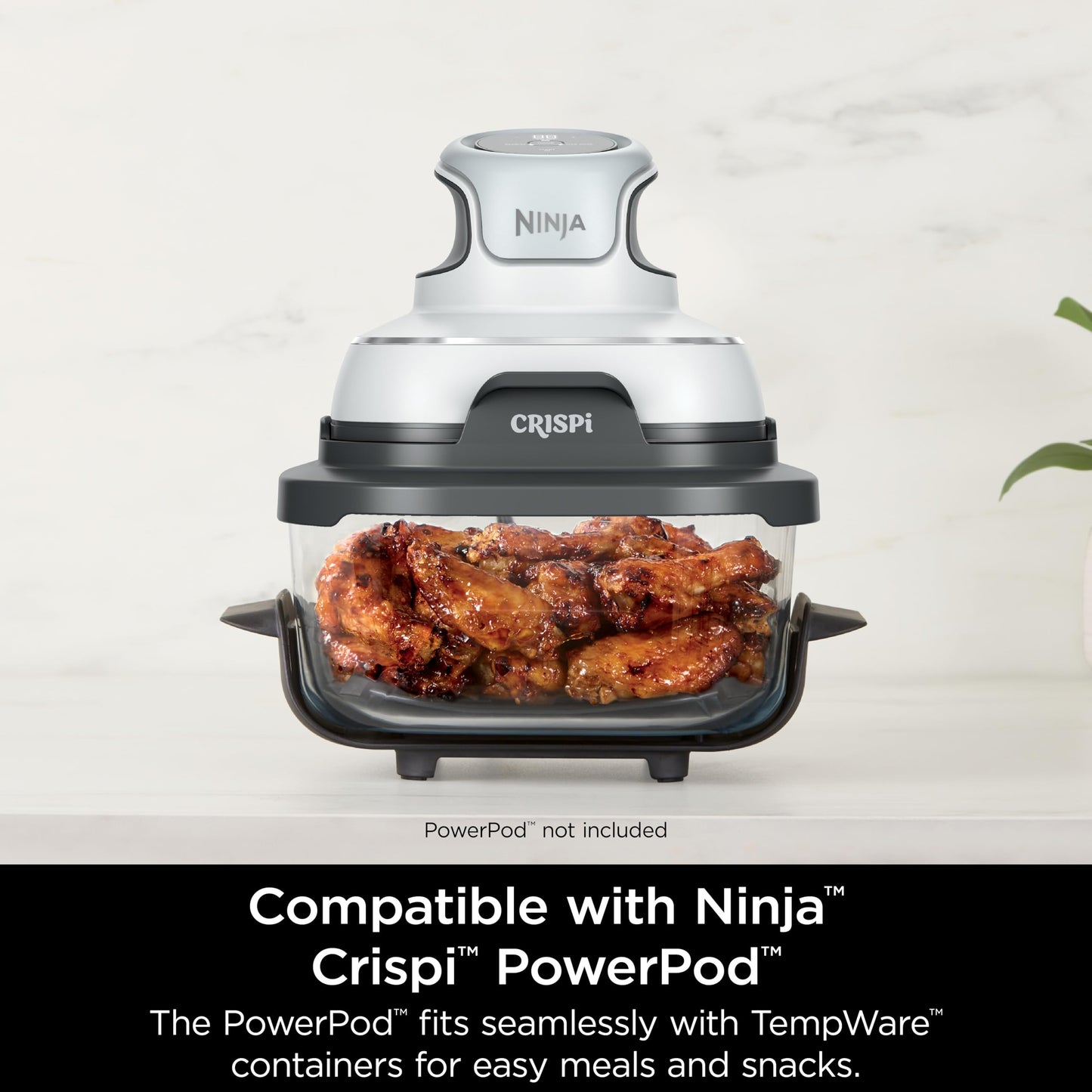 Ninja 4-QT CleanCrisp™ Glassware Container with Storage lid, Compatible with Ninja Crispi FN101 & AS101 Series, Microwave, Freezer & Dishwasher Safe, PFAS & PTFE Free Glass, XSKSFN4QT