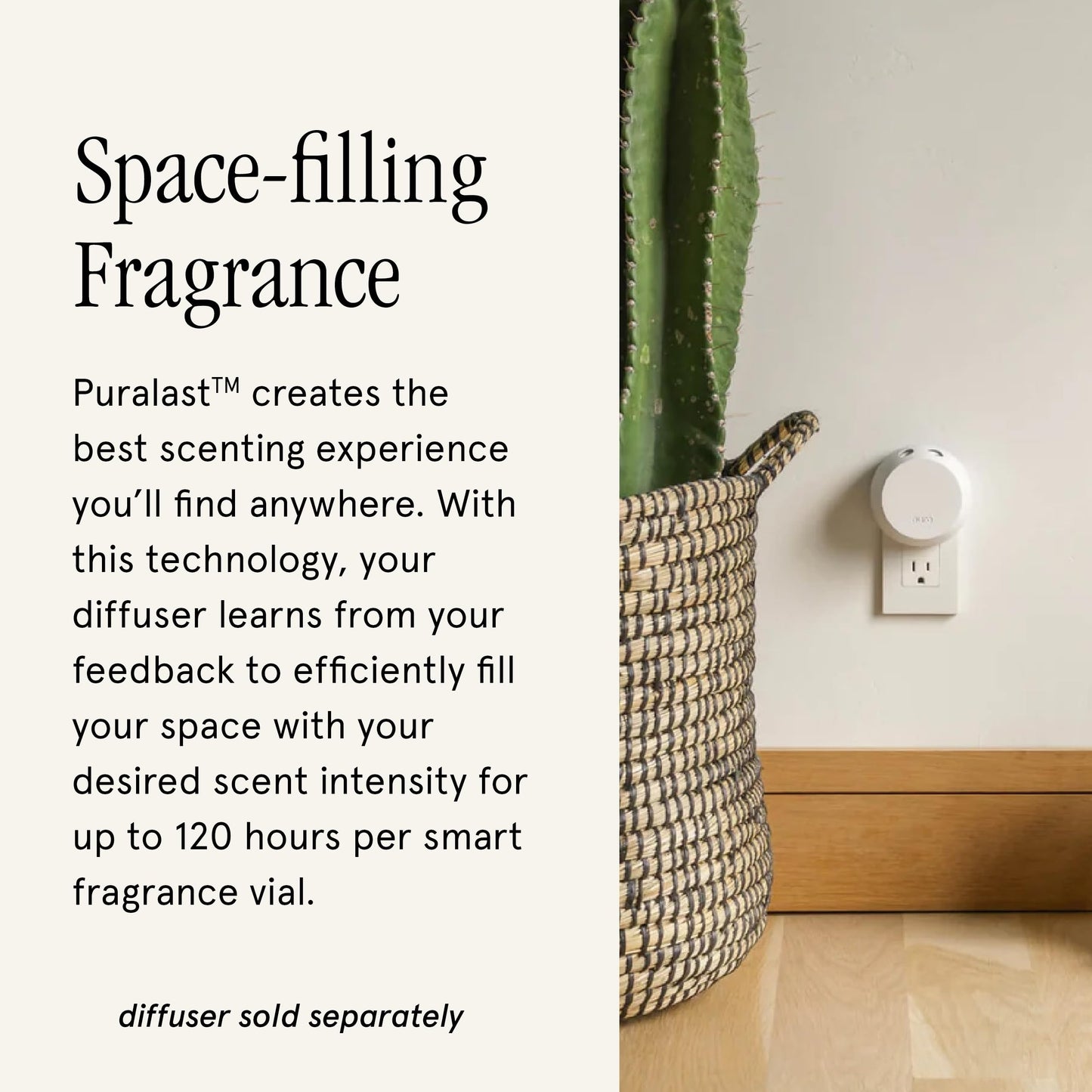 Pura & Becki Owens Home Scent Refill - Smart Home Air Diffuser - Up to 120-Hours of Luxury Fragrance per Refill - Spring & Summer Fragrance - 2 Pack, Coconut Calm