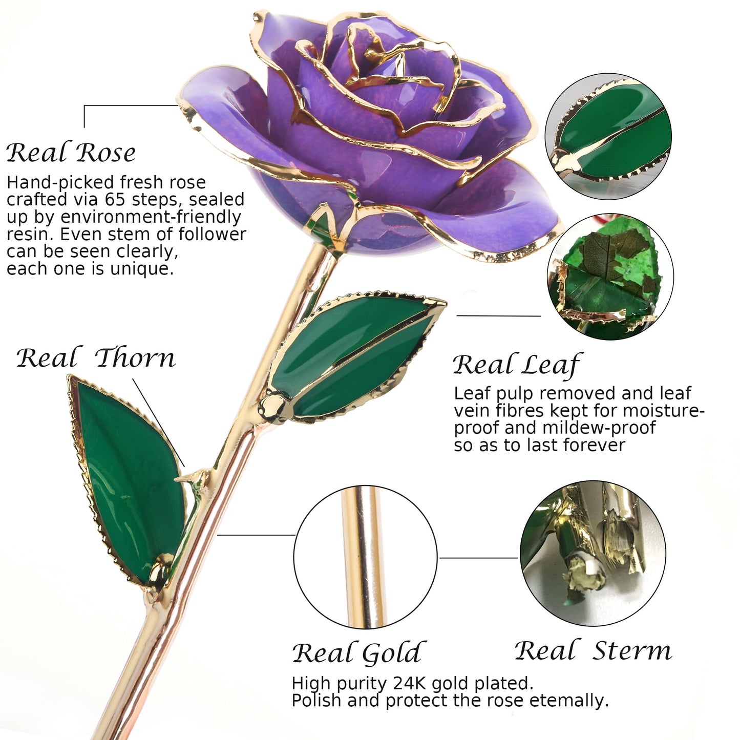 Sinvitron Gold Dipped Infinity Rose - Eternal Resin-Preserved Rose | Forever Flower Decor for Birthdays, Mother’s Day, Anniversaries | Unique Gift for Women, Mom, Wife (Lavender Purple)
