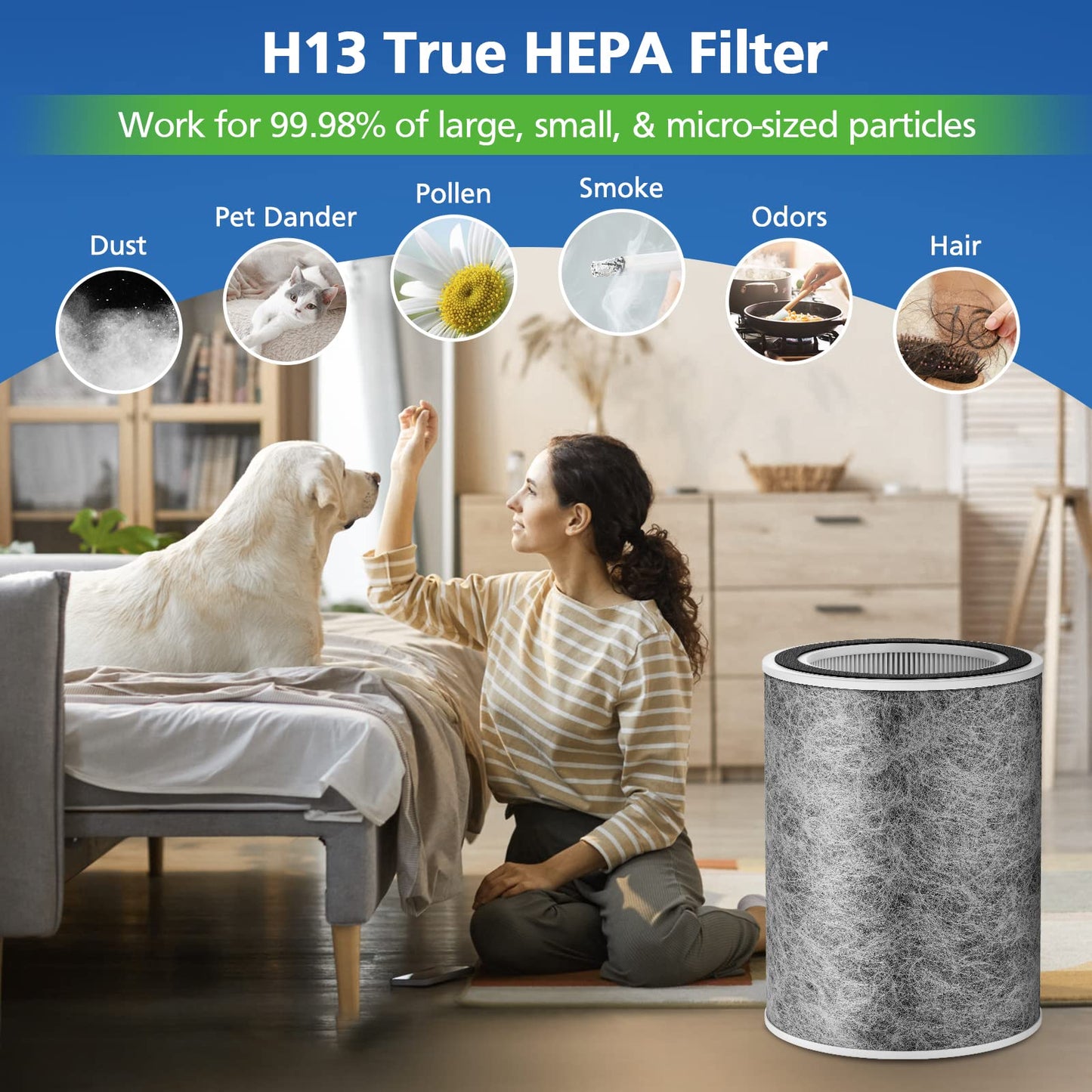 HP201 HP302 Replacement Filter Compatible with Shark HP202 HP301 HC502 HP232 HC501 AP1000 Air Purifier MAX, Cleans up to 99.97% of particles, Part # HE2FKBAS, HE2FKBASMB, 1 Pack