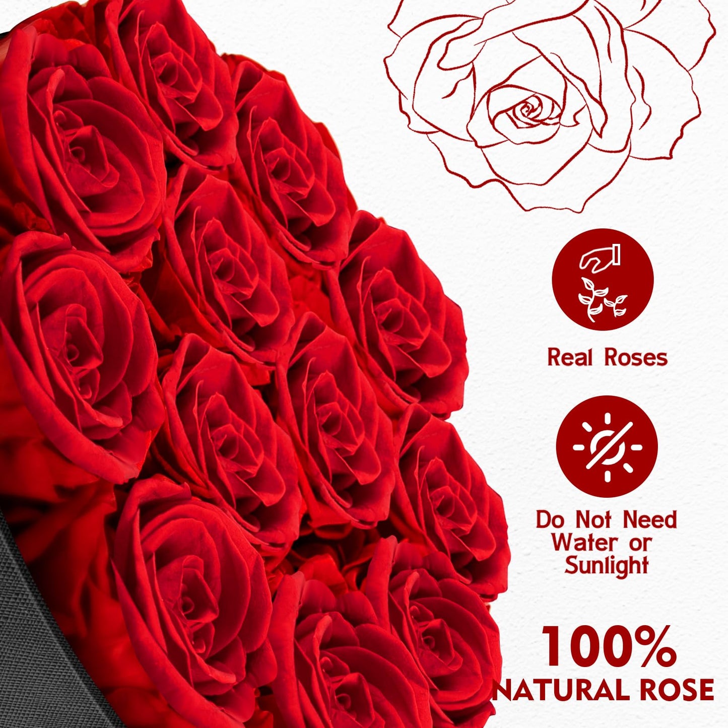 Impouo Forever Flowers,12 Red Roses in A Box, Real Preserved Roses, Birthday Gift for Women, Mother's Day, Anniversary Day- Red Roses