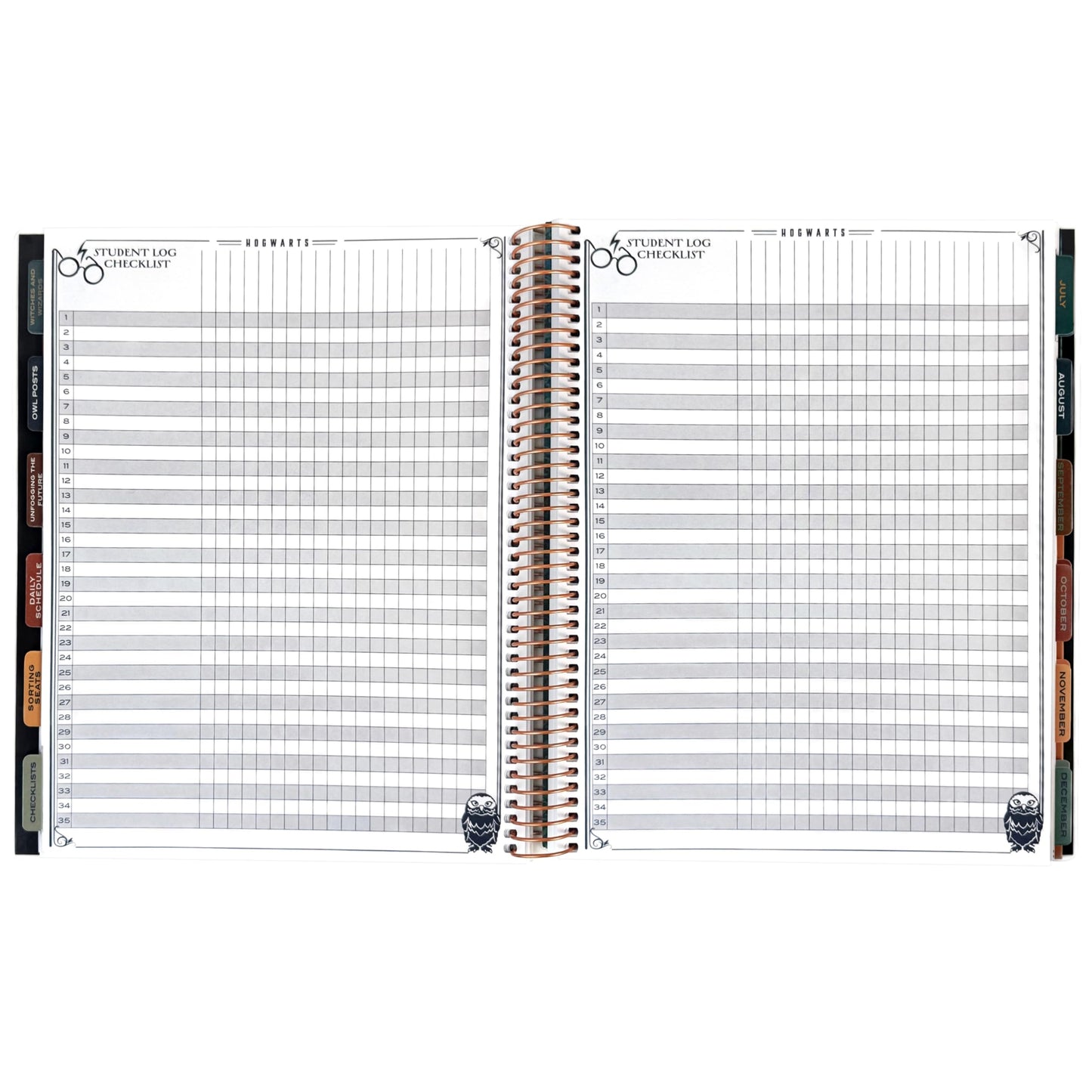 ConQuest Journals 2026-2027 Harry Potter Hogwarts Teacher Planner, July-June Academic Organizer, Monthly & Weekly Calendars, Checklists, Contacts & Student Lists, 11.25'' x 9.5'', Officially Licensed