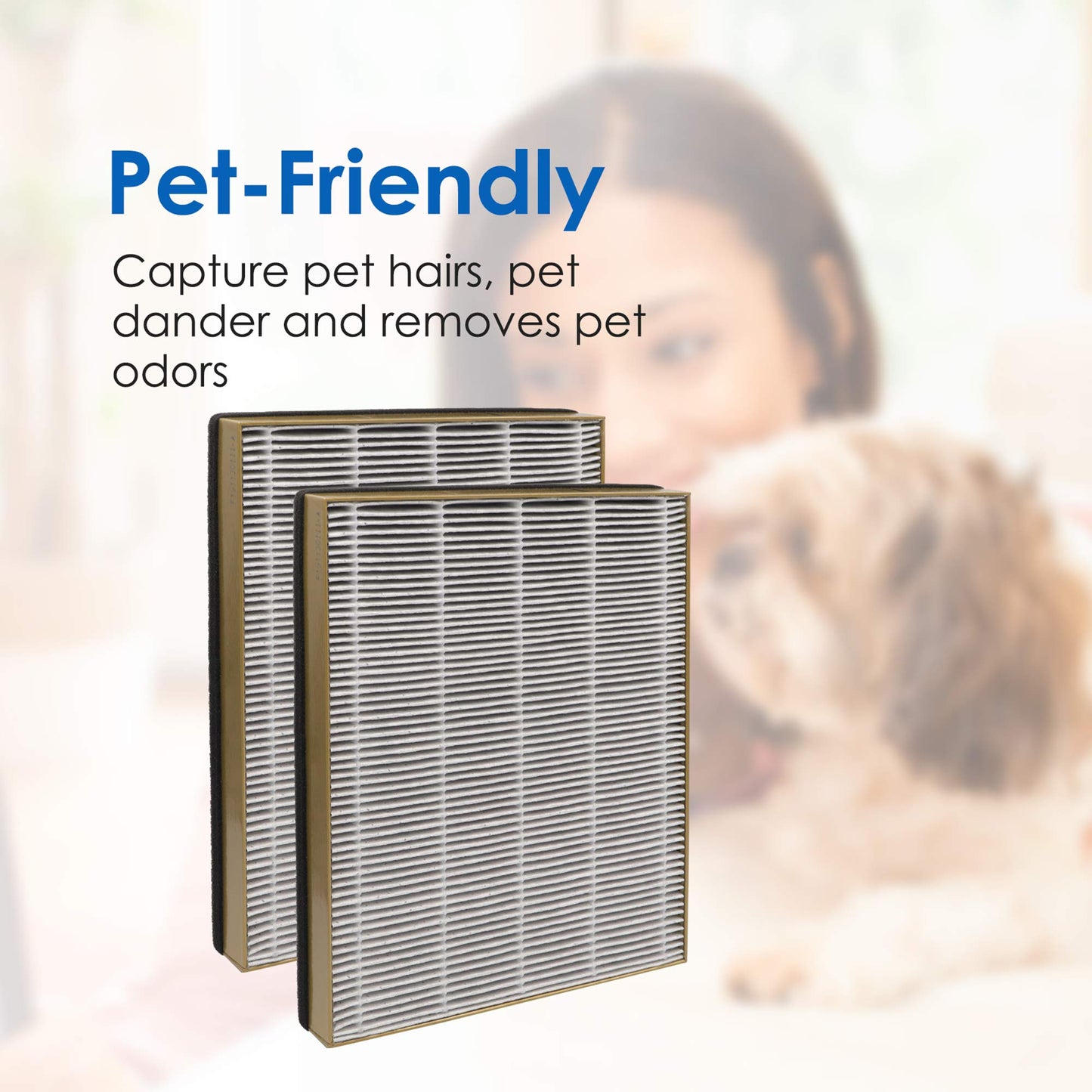 Flintar TT-AP002 Replacement Filter, Compatible with Tao Tronics TT-AP002 Air Purifier and VAVA VA-EE008 Air Purifier, 3-in-1 H13 Grade Air Filter, 2-Pack