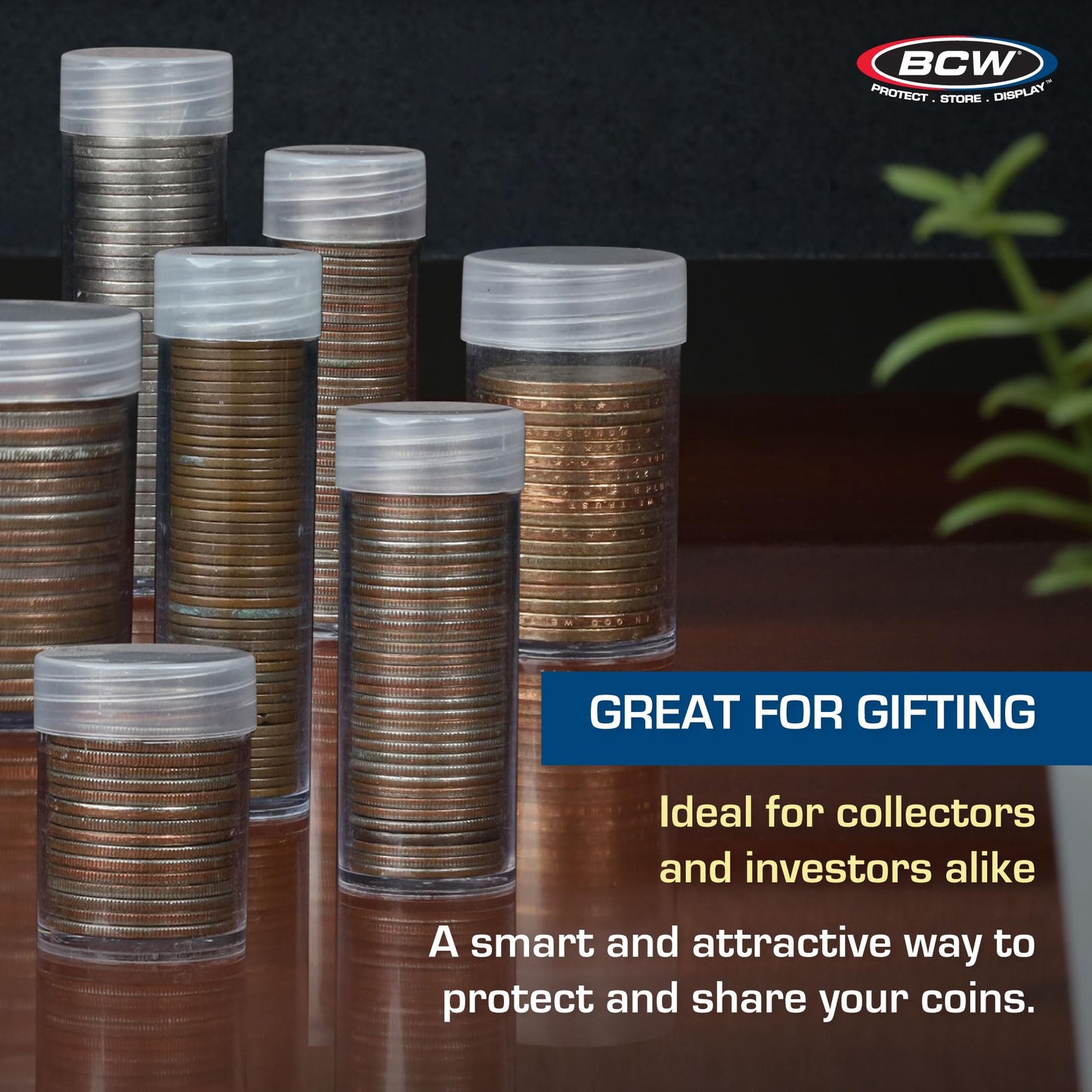 BCW Coin Tubes for US Pennies - 50ct | Holds Lincoln Penny | Durable Plastic Tube Holders | Collecting Supplies