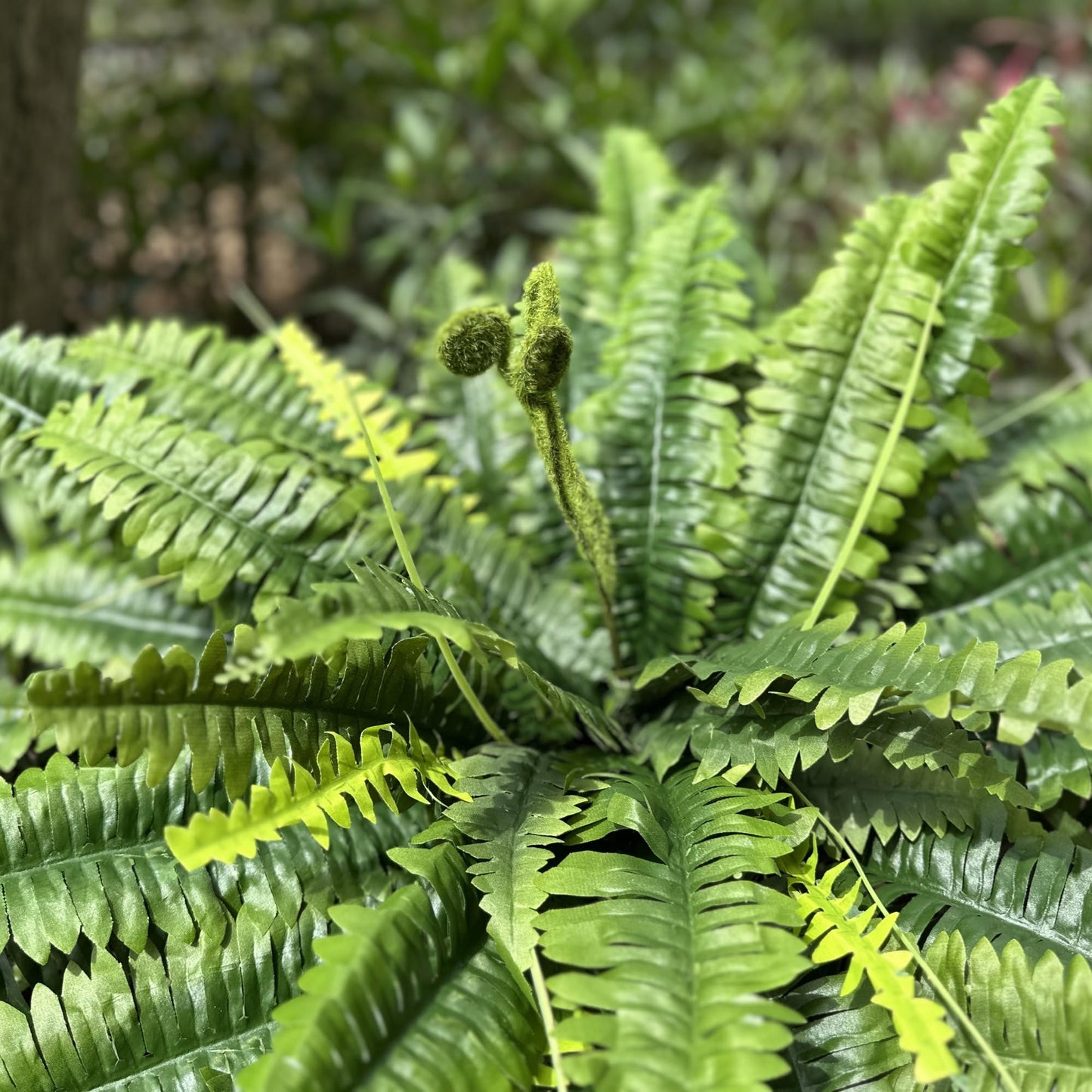 zooFernzoom Artificial Ferns for Outdoors & Indoors, 45in Large Fake Ferns Plants with 55 Fronds & Fiddlehead - 2 Stems Looks Real Faux Fern Greenery for Porch Garden Home Office Decor