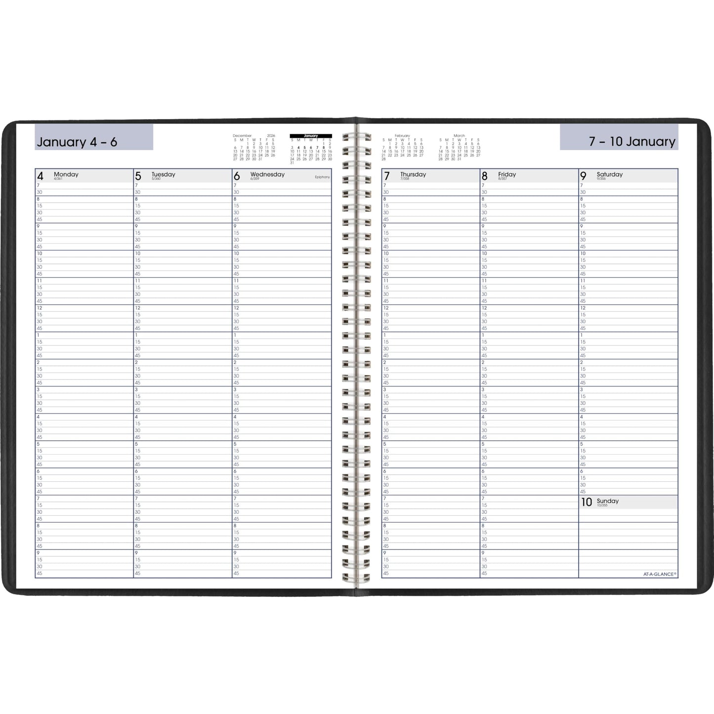 AT-A-GLANCE 2027 Appointment Book Planner, Weekly, 8" x 11", Quarter-Hourly, DayMinder, Black (G5200027)