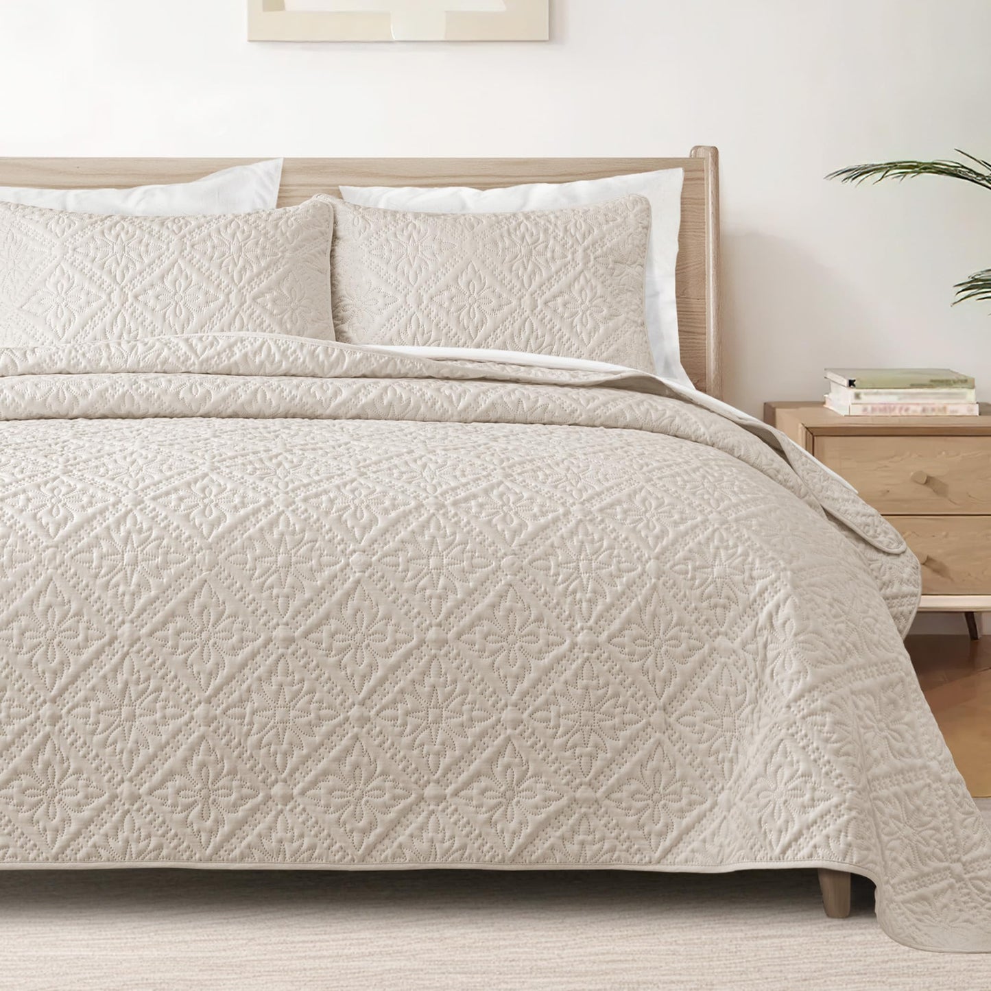 Exclusivo Mezcla Queen Quilt Bedding Set, Lightweight Soft Bedspreads Coverlets with 2 Pillow Shams, Modern Brich Beige Quilts Queen Full Size for All Seasons