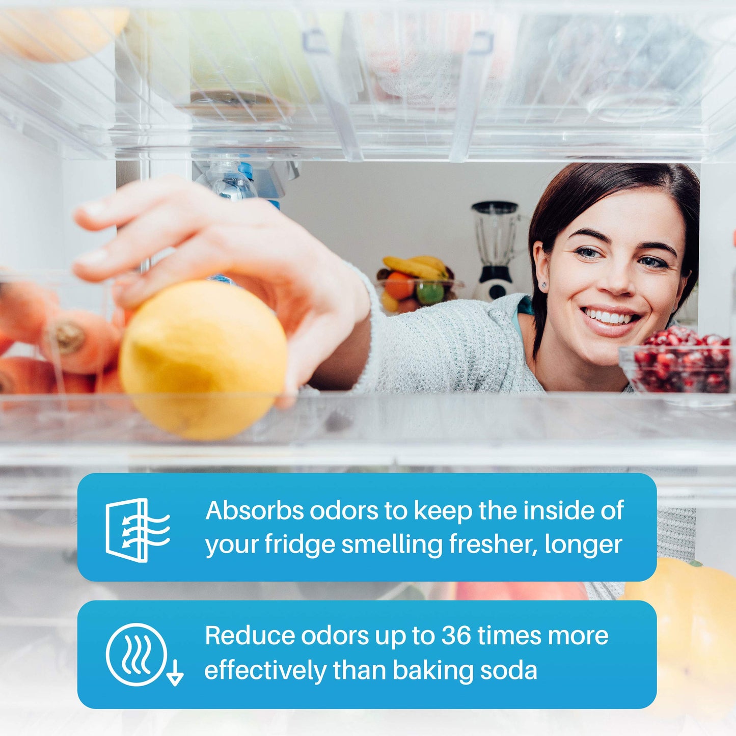 SpiroPure SP-FRAIR Refrigerator Fresh Air Filter Replacement for EAFCBF, PAULTRA, 242047804, 242047801, 242061001, SCPUREAIR2PK, 241754001, 242017800, 241791601, SCPUREAIRU, 241754002 (6 Pack)