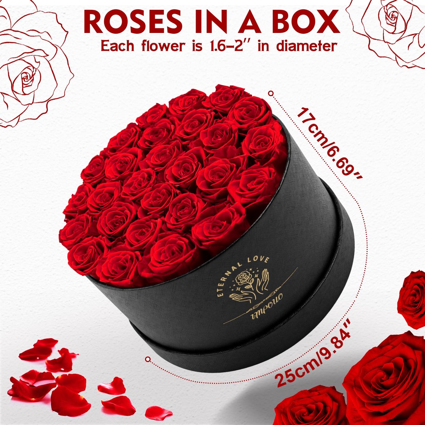 Impouo Forever Flowers, 27 Roses in A Box, Real Preserved Roses, Birthday Gift for Women, Mother's Day, Anniversary, Red Rose