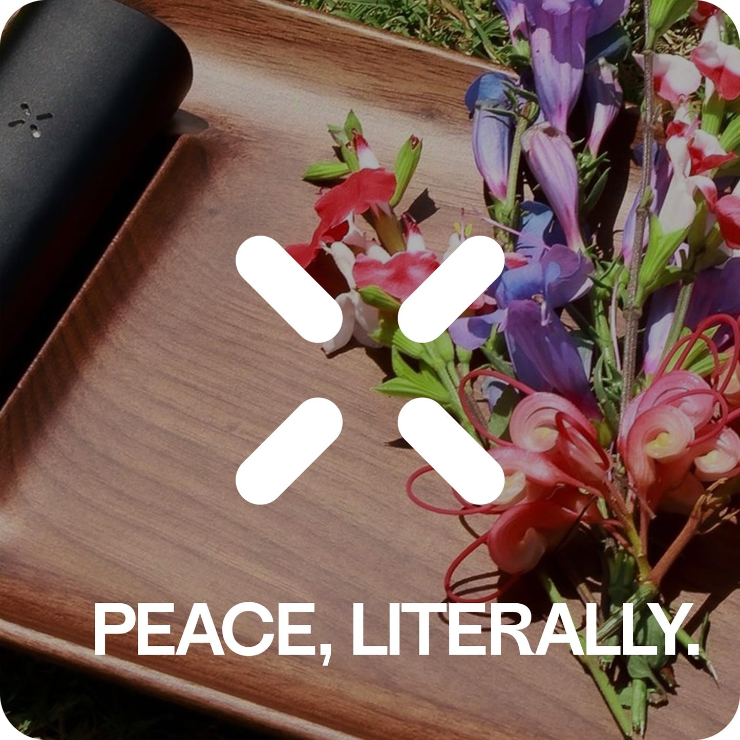 PAX Spice & Herb Mill – Ergonomic Spice & Herb Mill Made from Aluminum for an Even, Medium Shred – Square Shape for Better Grip