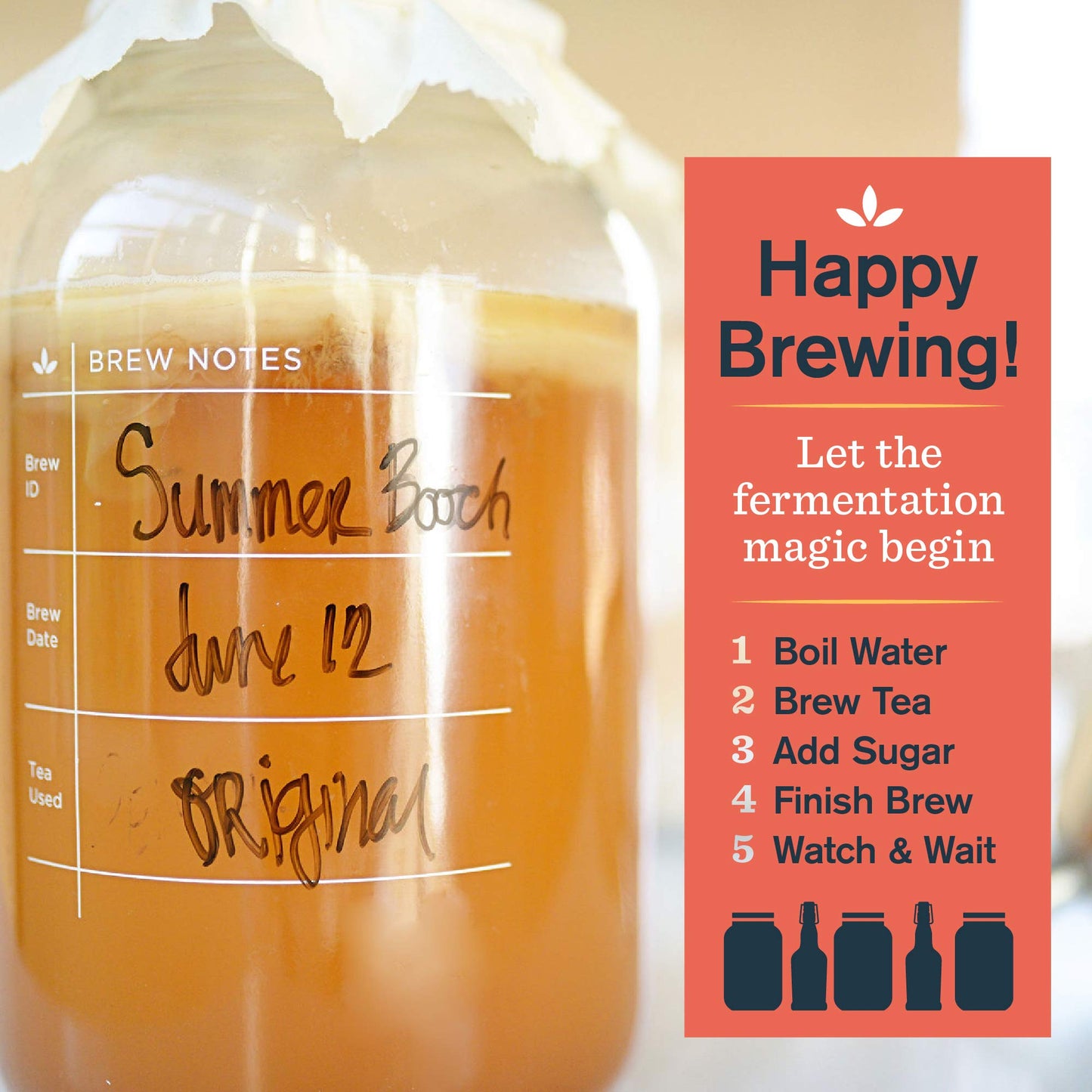 The Kombucha Shop Organic Kombucha Starter Kit - 1 Gallon Brewing Kit Includes All The Essentials Required for Brewing Kombucha At Home