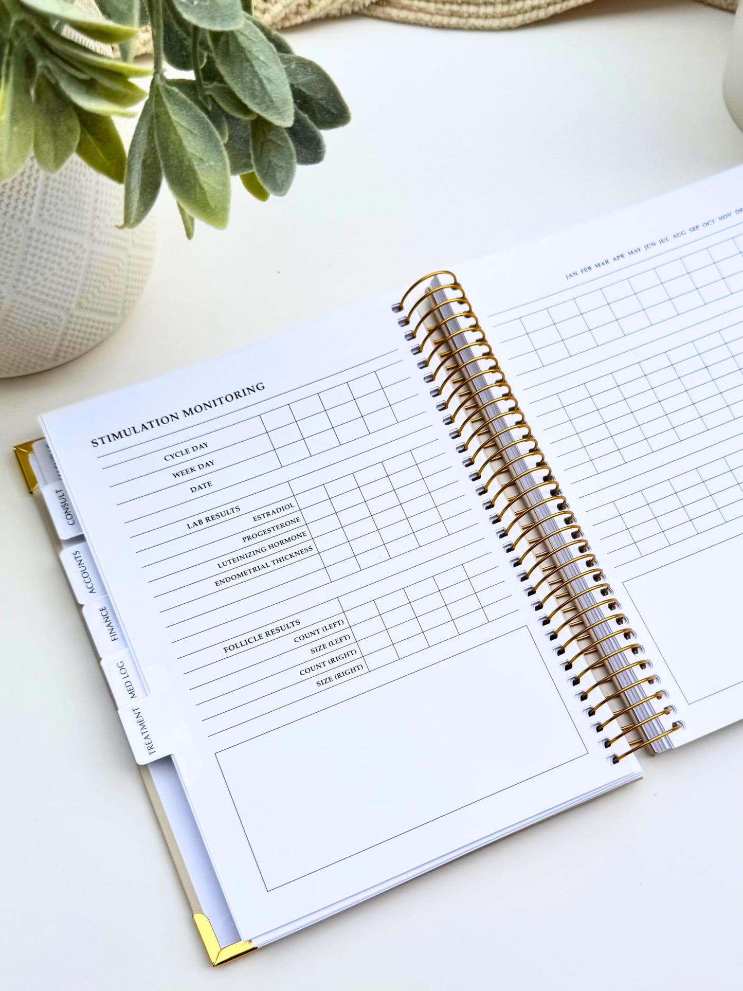 IVF Journey Planner | Fertility & IVF Journey Organizer for Women | Infertility Support & Treatment Tracker | Minimalist Design | By Psalm & Baby Dust