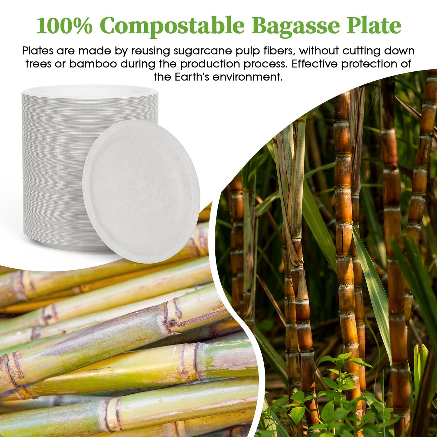 ECOLipak 6 Inch Disposable Compostable Small Paper Plates, 500 Pack Recycled Sugarcane Bagasse Biodegradable Heavy Duty Mini Dinner Appetizer Cake Dessert Plates for Party(White)
