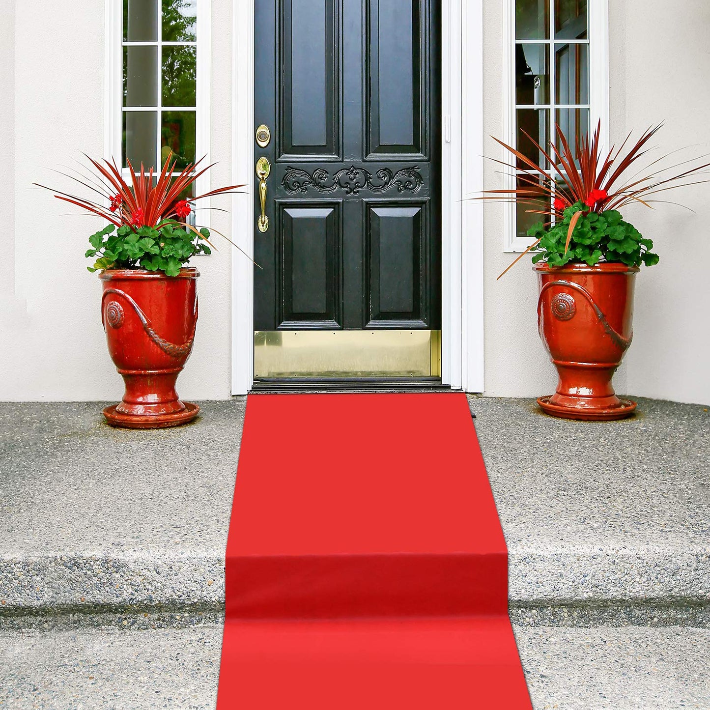 Shappy Red Carpet Runner Rug for Party 55gsm Thickness with 1 Piece Carpet Tape for Wedding Christmas Xmas Christmas Outdoor Accessories, Wedding Party Hallway Rug(2.6 x 30 Feet)