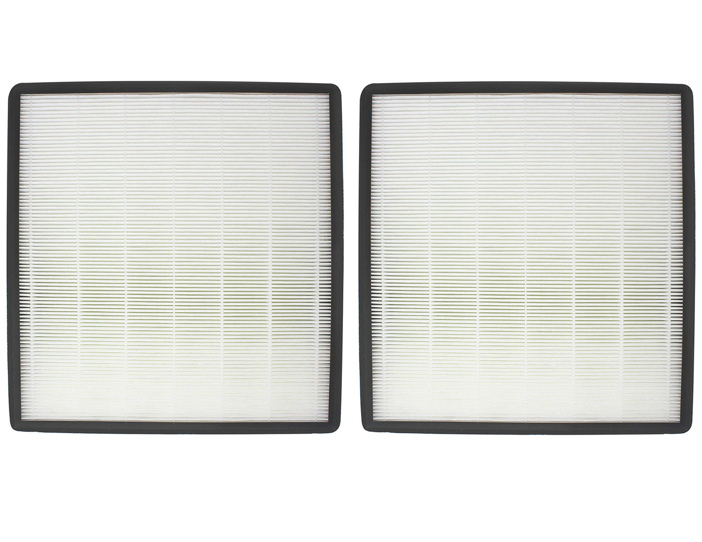 Fette Filter - Air Purifier True HEPA Filter F Compatible with Holmes HAP769. Compare to Part # HAPF700 (2 Pack)
