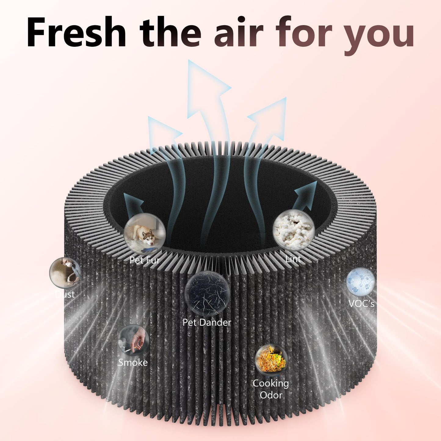 XBWW 3 Packs AIR030W Replacement Filter Compatible with Dupray Bloom AIR030W Planter Air Cleaner Purifier, Premium Filters and Activated Carbon Filter