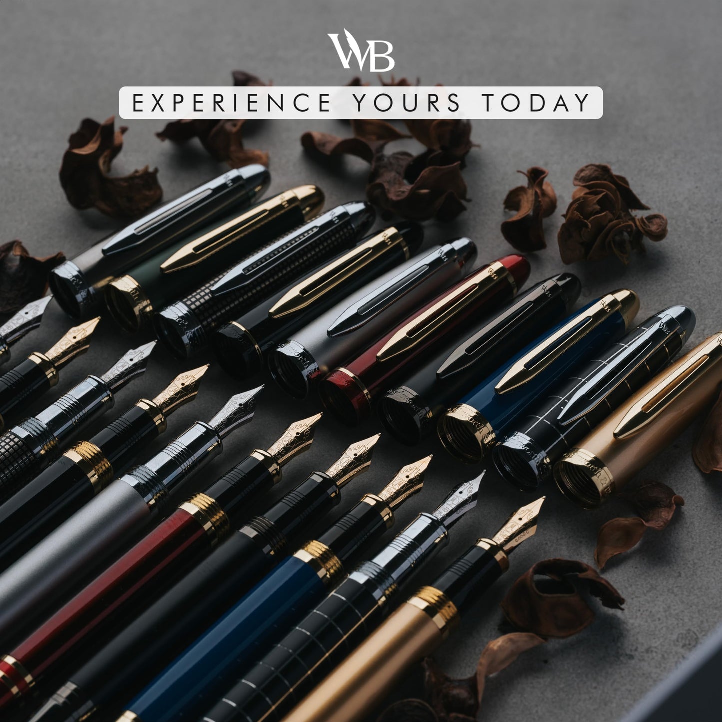 Wordsworth & Black Majesti Fountain Pen - (Checked), Luxury Case, Chrome Finish, Iridium Medium Nib - 24 Ink Cartridges, Refillable Ink Converter-Calligraphy Pen-Best Business Gift Set for Men & Women