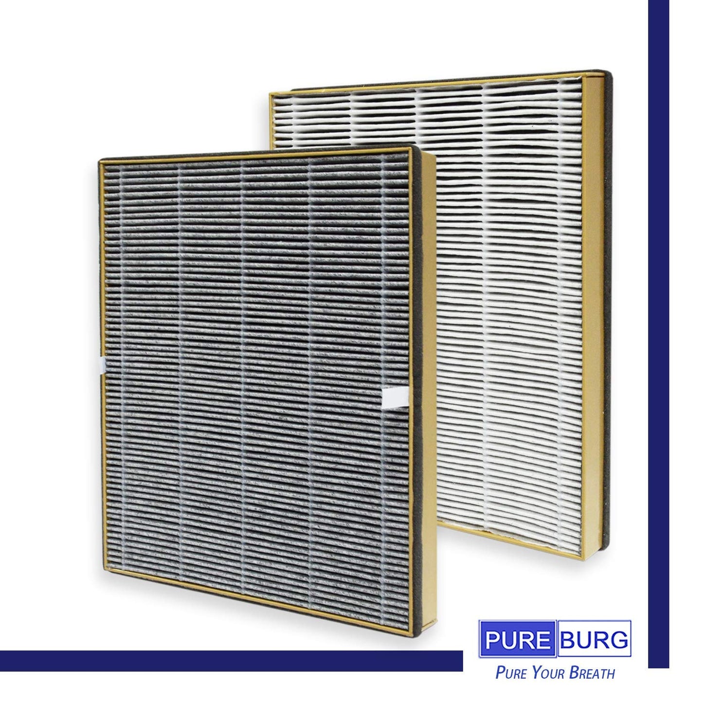 PUREBURG Replacement Filter Compatible with TaoTronics TT-AP002 & VAVA VA-EE008 Air Purifiers, Pack of 2, HEPA Activated Carbon 2-IN-1 Air Clean Dust Odors