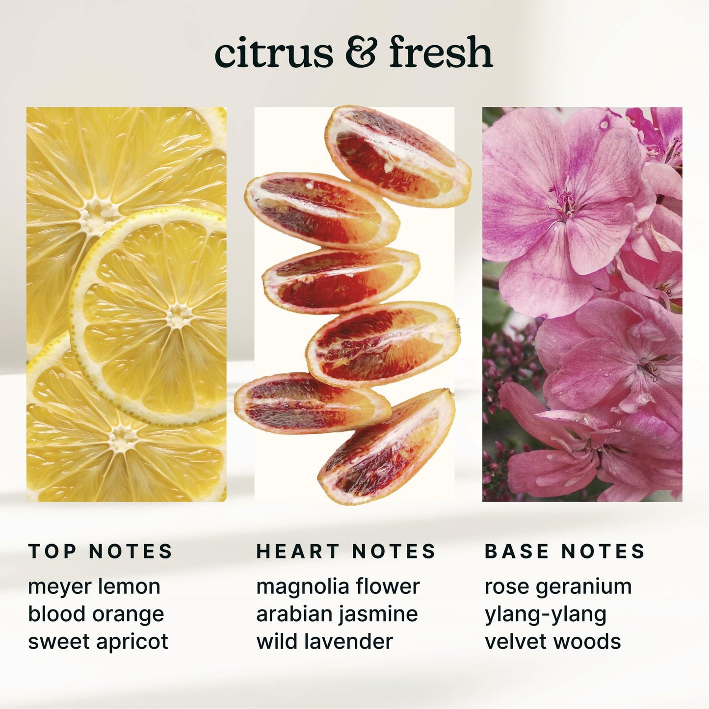 Homedics SereneScent Waterless Diffuser Oil Refill — Amalfi Bliss (120ml). Clean, Safe, Fresh & Floral Home Fragrance. Compatible with SereneScent Diffusers. Easy Twist Plug & Play.