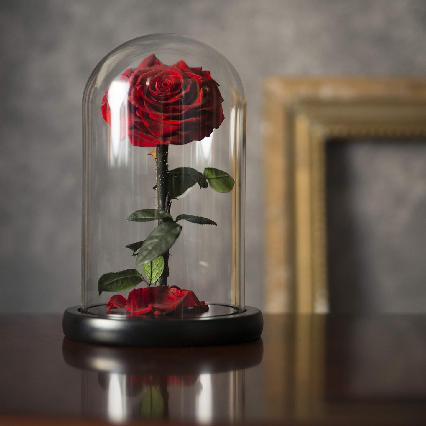 LOVAPPY Forever Preserved Rose - Eternal Rose in Glass Dome - Beauty and the Beast Rose - Mothers Day Gifts For Mom - Fresh Flowers in Glass (Red, 9 Inch)