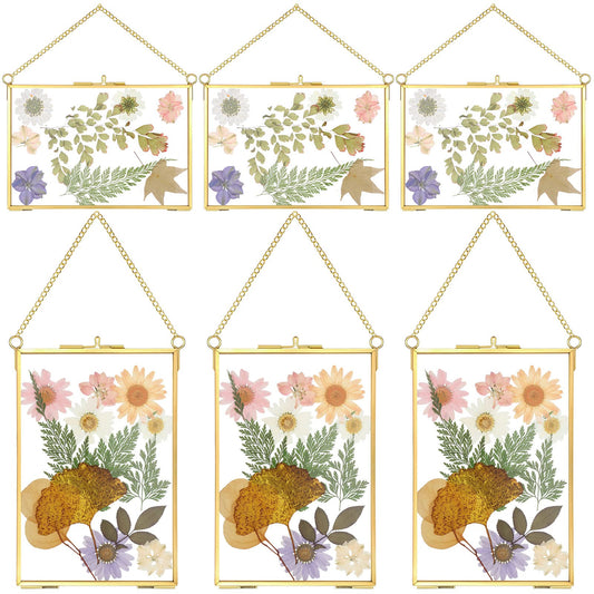 Treela 6 Pcs Pressed Flower Glass Picture Frames 6 x 4 Inch Brass Hanging Double Glass Frame Gold Floating Photo Frame Clear Horizontal Vertical Frames with Chain for Gallery Vintage Artwork Display