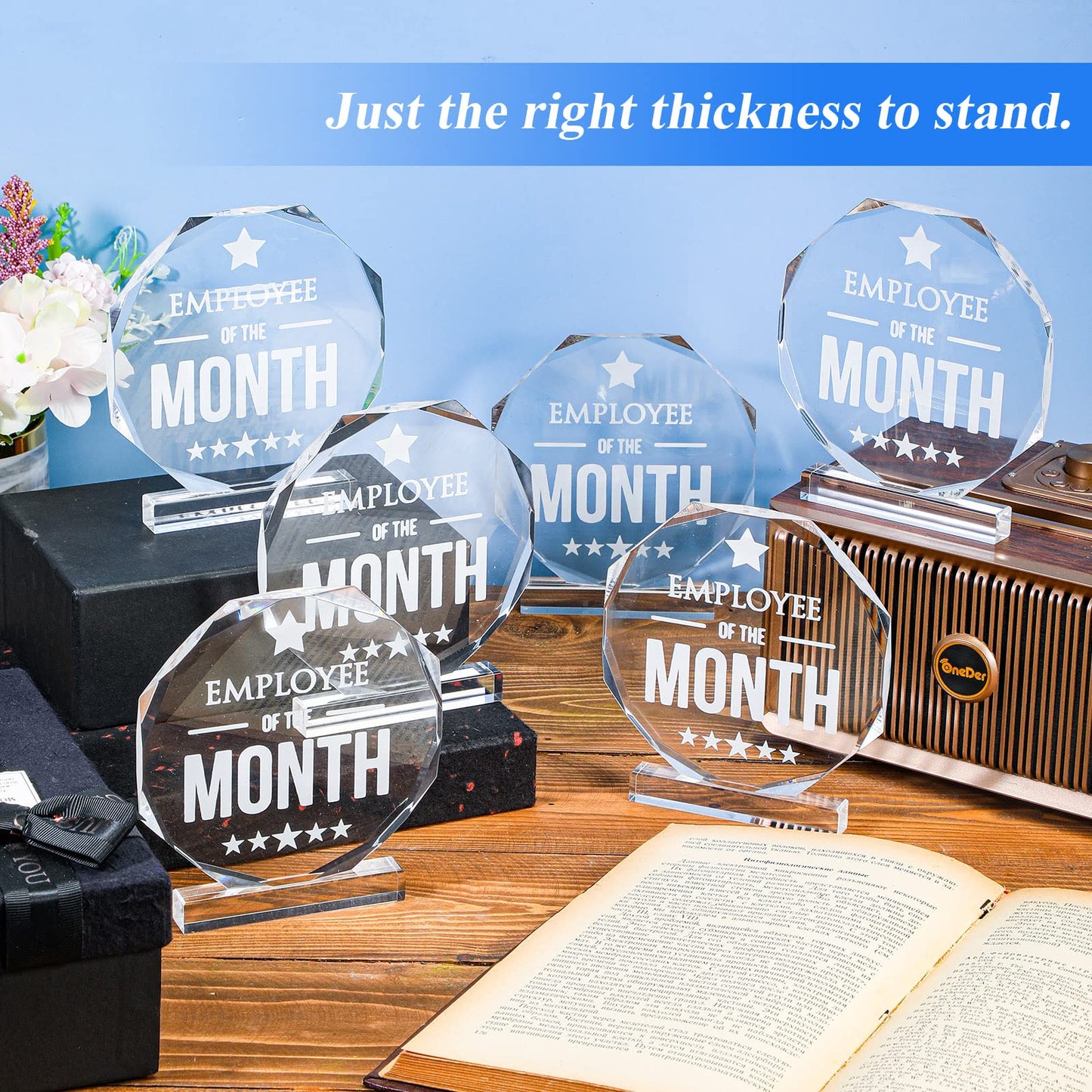Roowest 6 Pcs Employee of The Month Plaque Employee Appreciation Gifts Inspirational Acrylic Plaque Award Keepsake Reward for Teacher Nurse Coworkers Colleague Volunteer Office Supplies