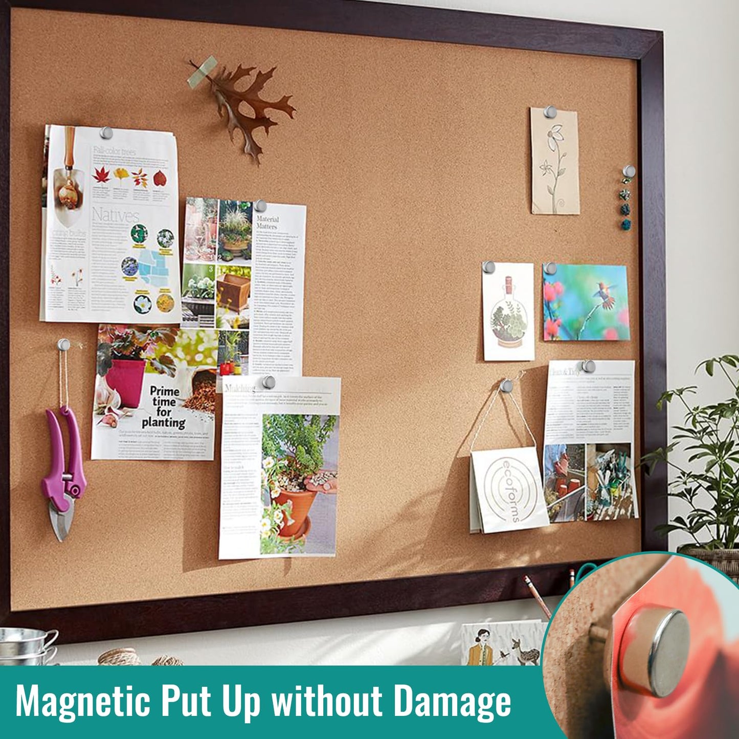 Magnetic Push Pins, 50 Sets Magnet Thumbtack for Board [1s Quick Pin][No Hole Hang Way], Poster and Photo Hangers Push Pin Magnets for Office Supplies Classroom Decoration Walls Bulletin Boards