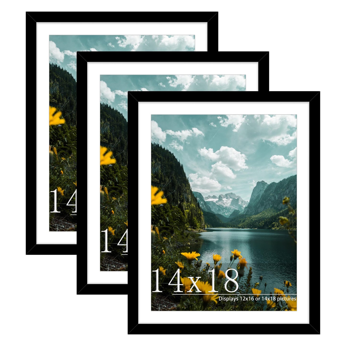 Picrit 14x18 Picture Frame 3 Pack, Black Poster Frame, Display Poster 12 x 16 with Mat or 14 x 18 without Mat for Horizontal or Vertical Wall Mounting