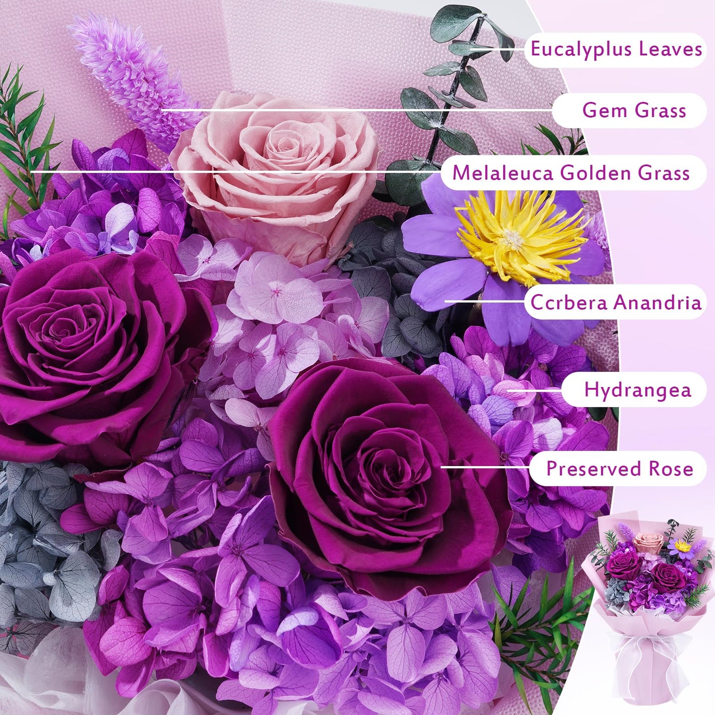 Waipfaru Preserved Flowers, Purple Fresh Bouquet with Gift Box, Flowers for Delivery Prime, Forever Flowers for Women Birthday Gift, Anniversary, Teacher, Mother Day, Valentines Day Gifts for Her