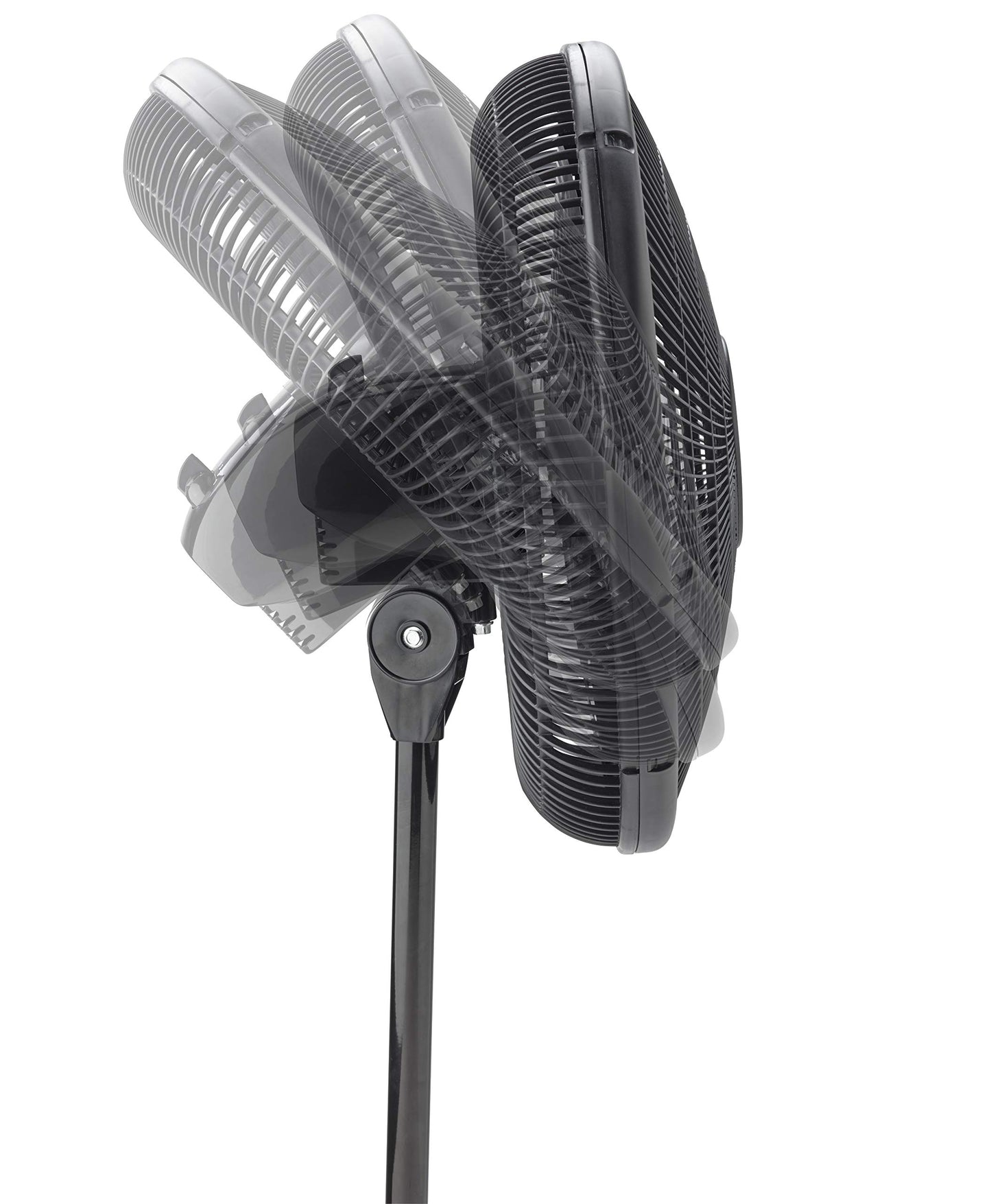 Lasko 2521 16 Inch 3-Speed Quiet Adjustable Tilting Wide-Area Oscillating Standing Pedestal Fan for Bedroom, Kitchen, Home, and Office, Black
